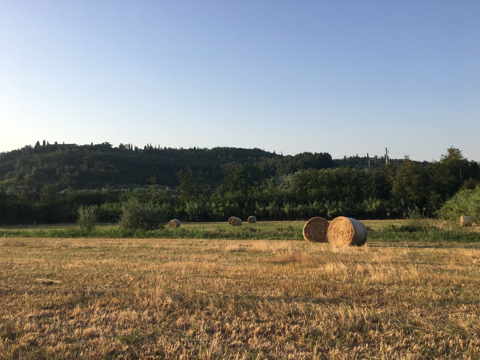 Apple iPhone 6s Plus sample photo. Hay, bale, landscape photography