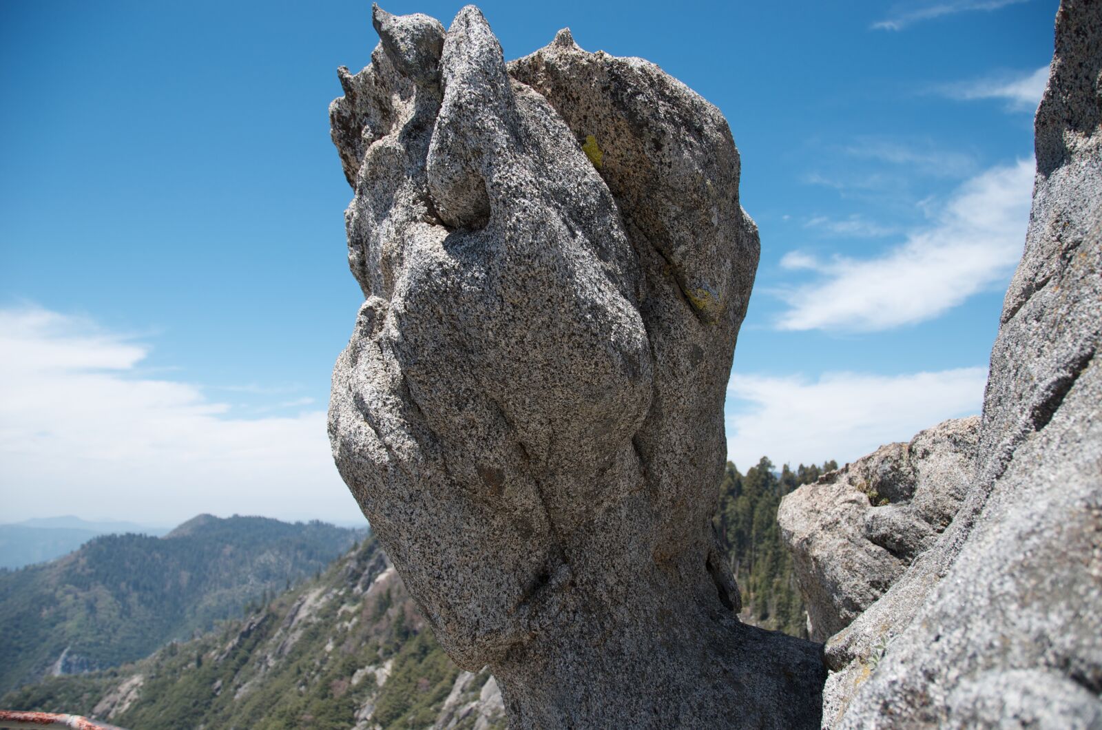 Nikon D7000 sample photo. Sequoia national park, freedom photography
