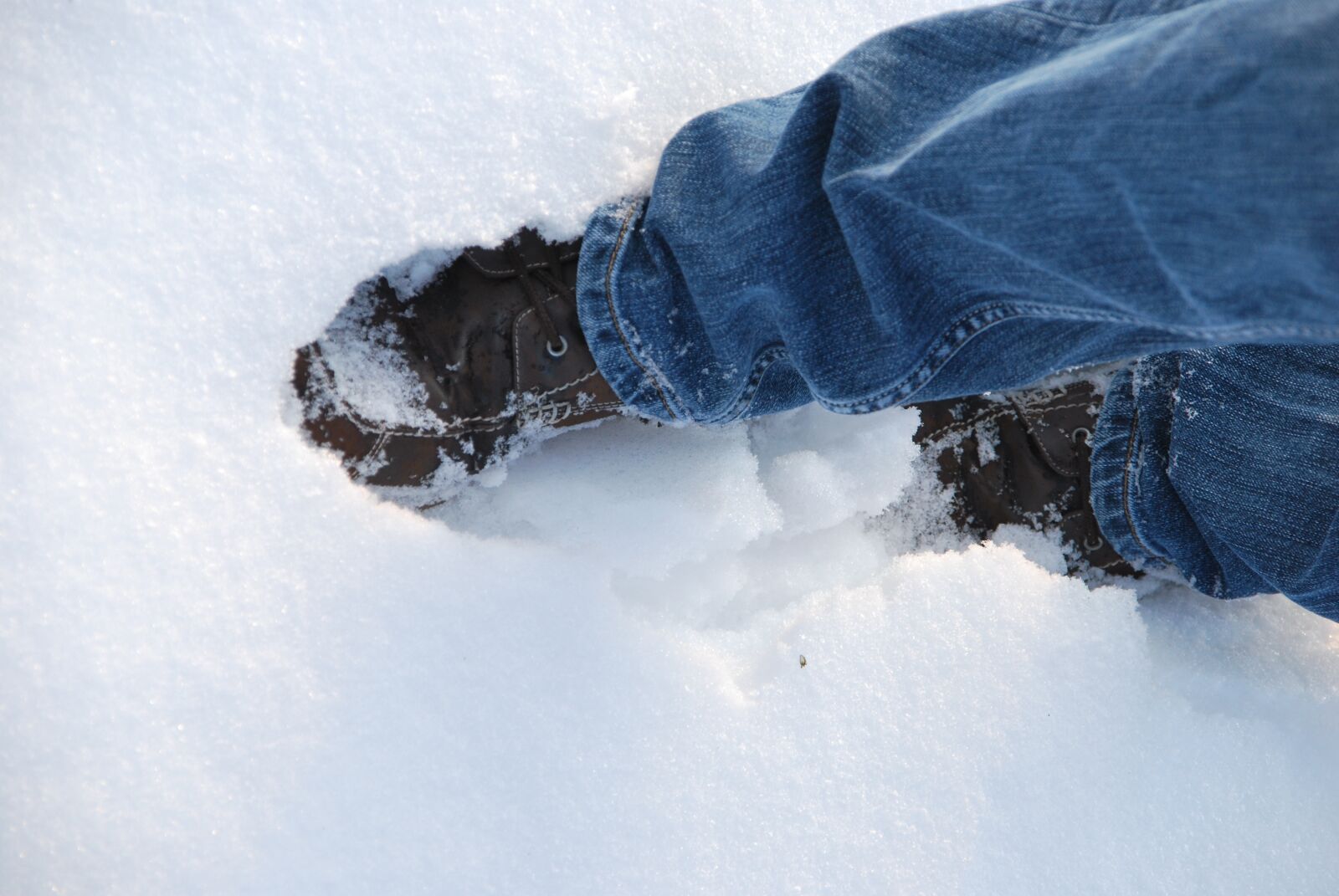 Nikon D60 sample photo. Shoes, snow, walk photography
