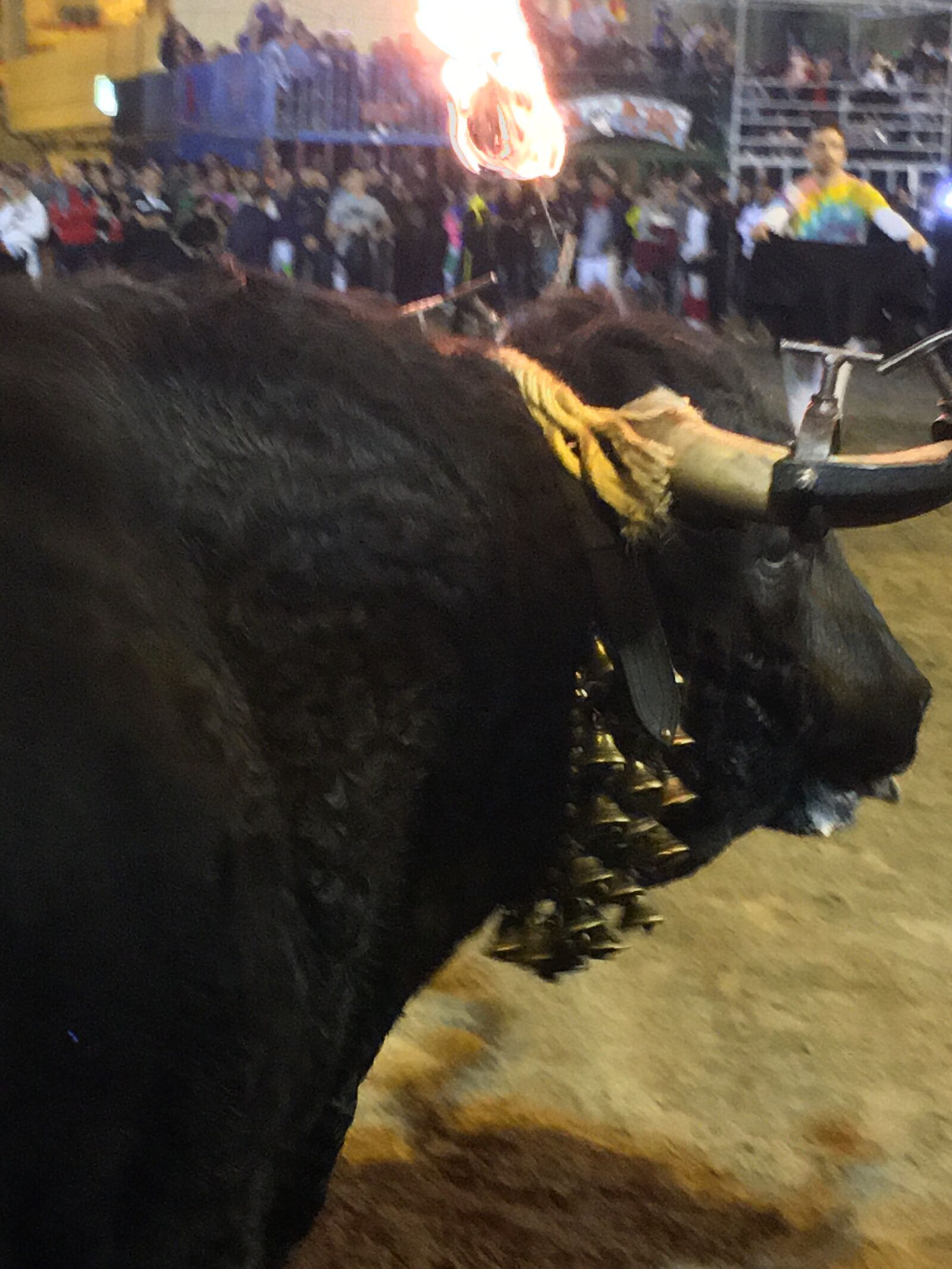 Apple iPhone 6s sample photo. Toro, black, embolado photography