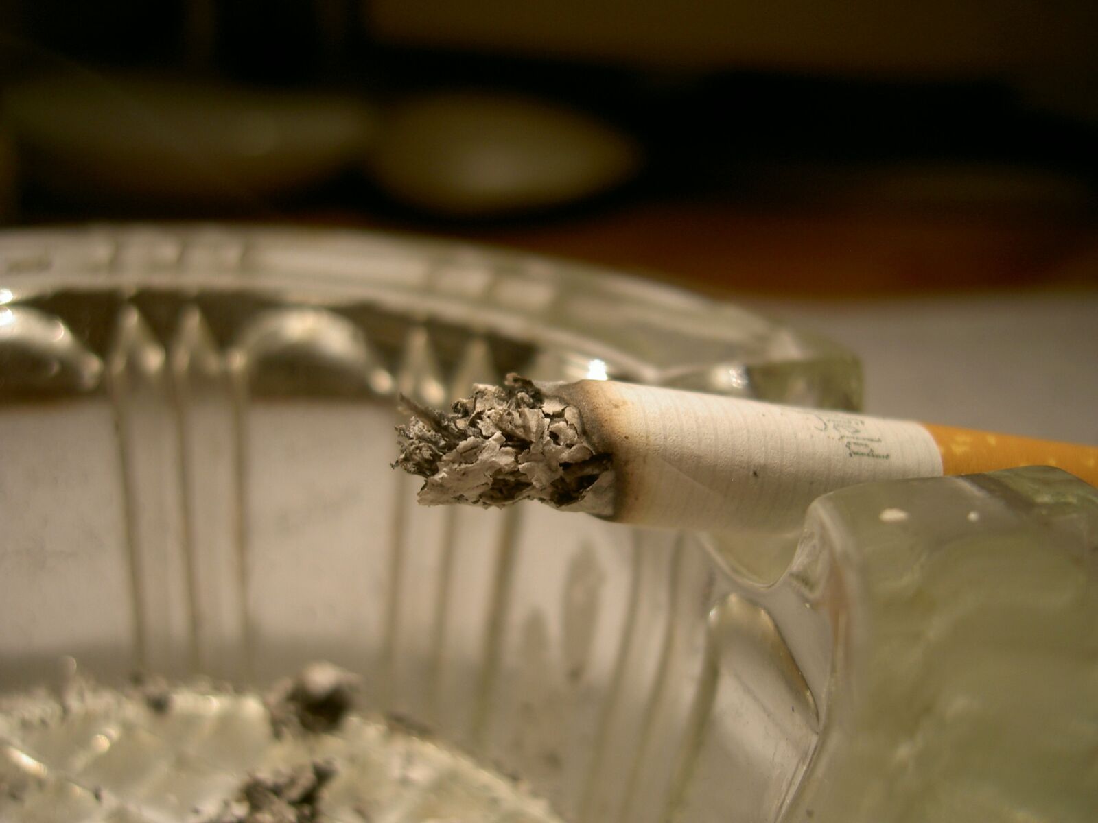 KONICA MINOLTA DIGITAL CAMERA KD-500Z sample photo. Ash, cigarette, macro photography