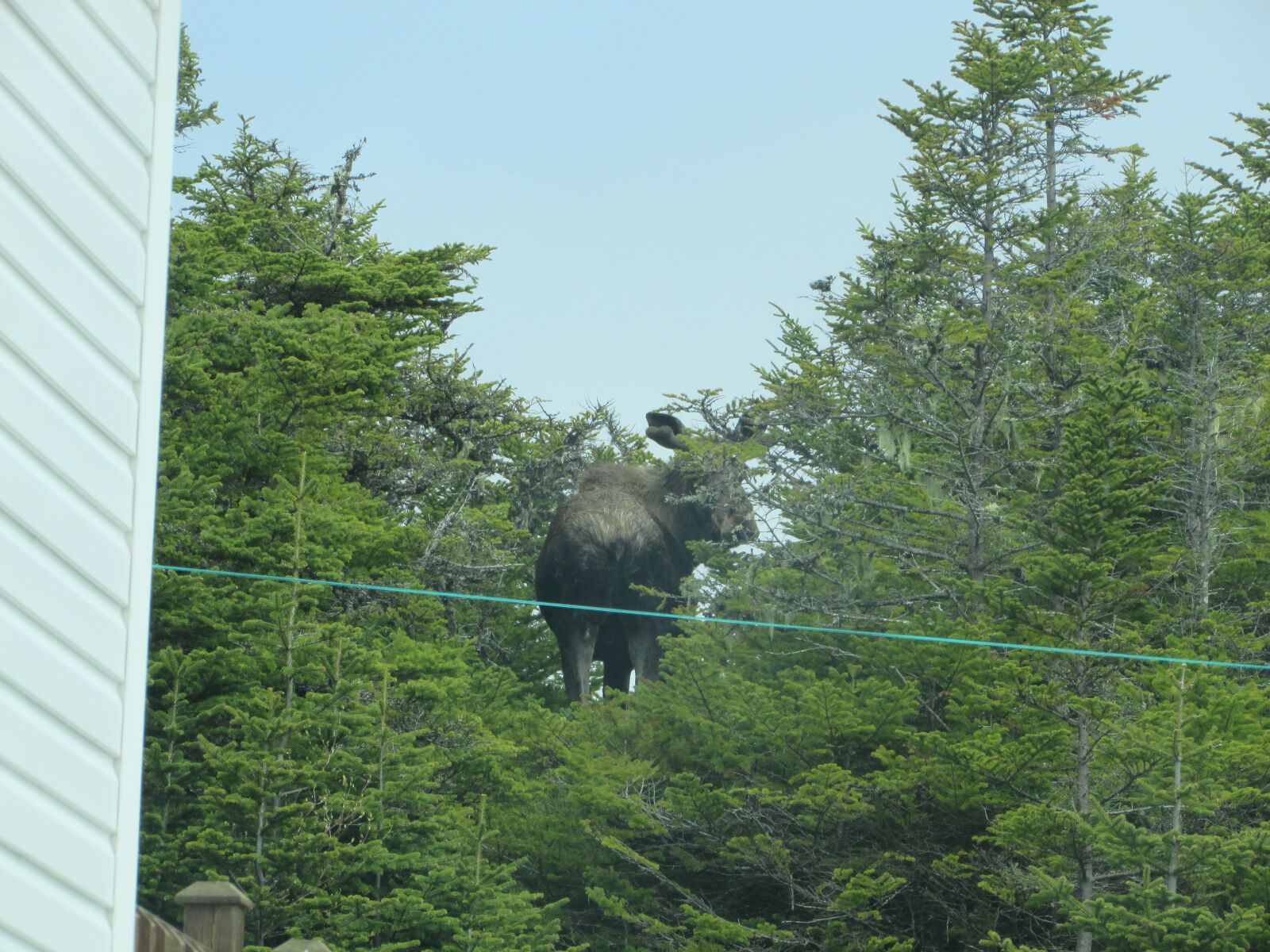 Canon PowerShot SX400 IS sample photo. Tourist, landmark, canadian photography