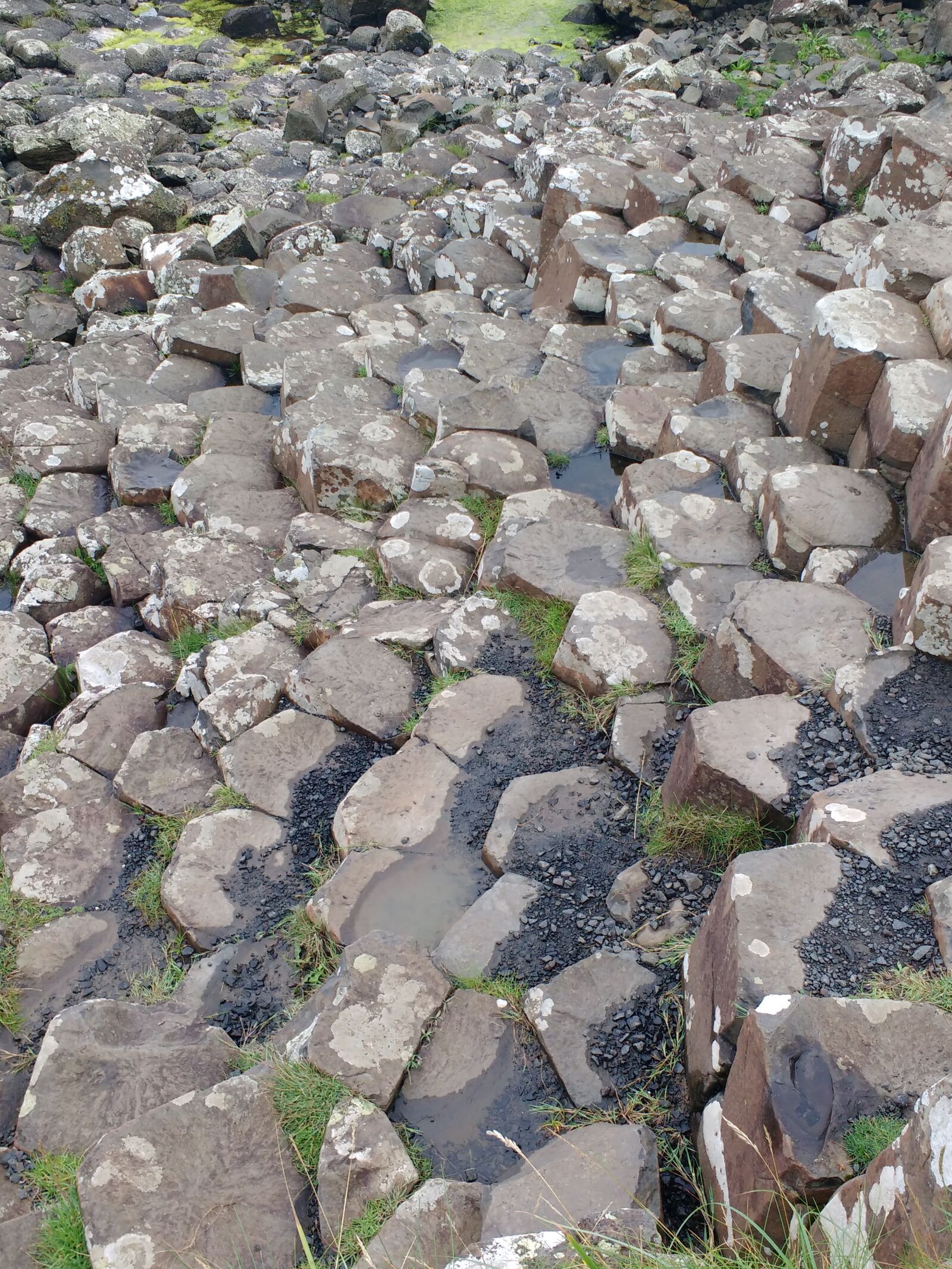 Motorola MotoG3 sample photo. Ireland, giant, causeway photography