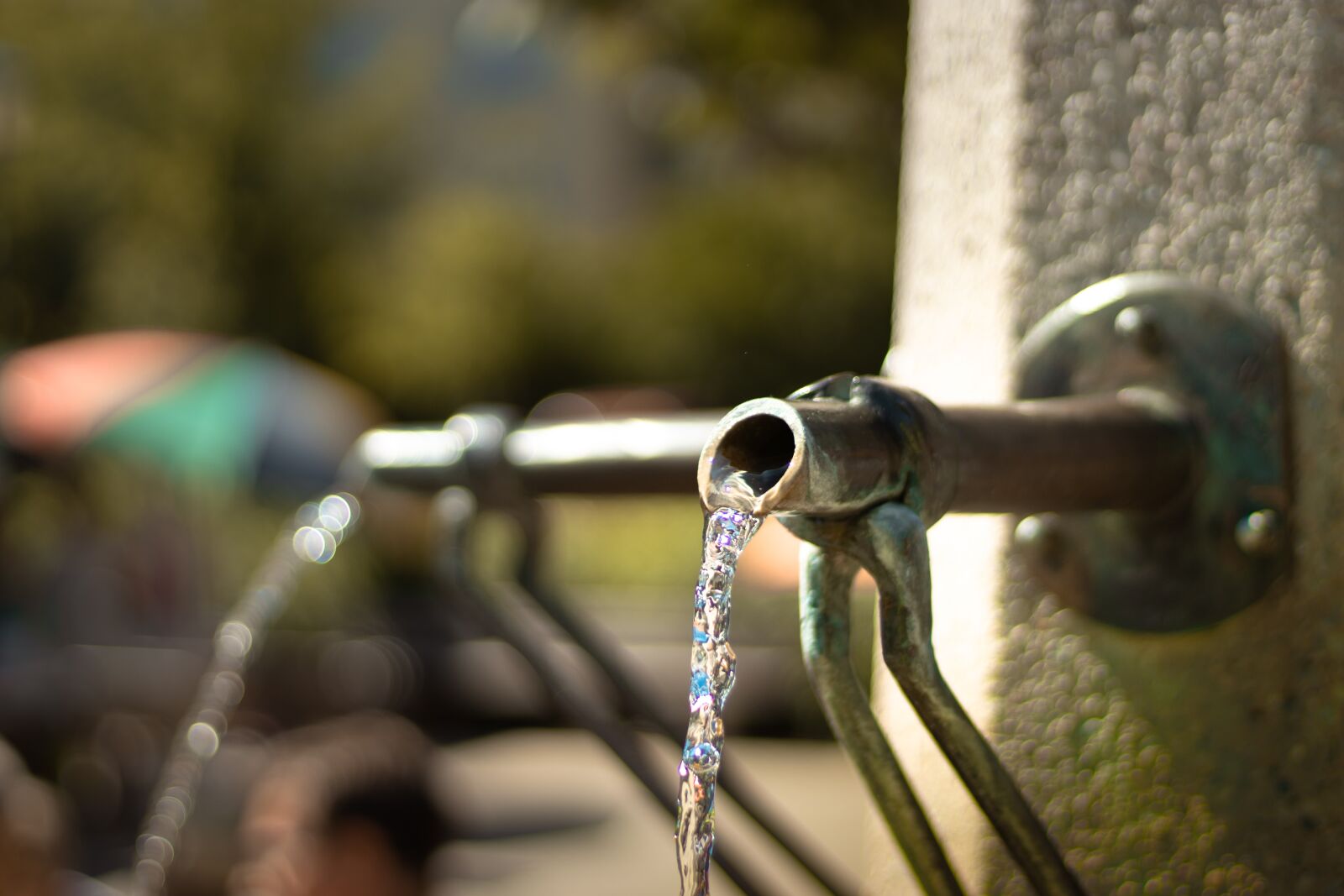 Canon EOS 200D (EOS Rebel SL2 / EOS Kiss X9) sample photo. Fountain, green, water photography
