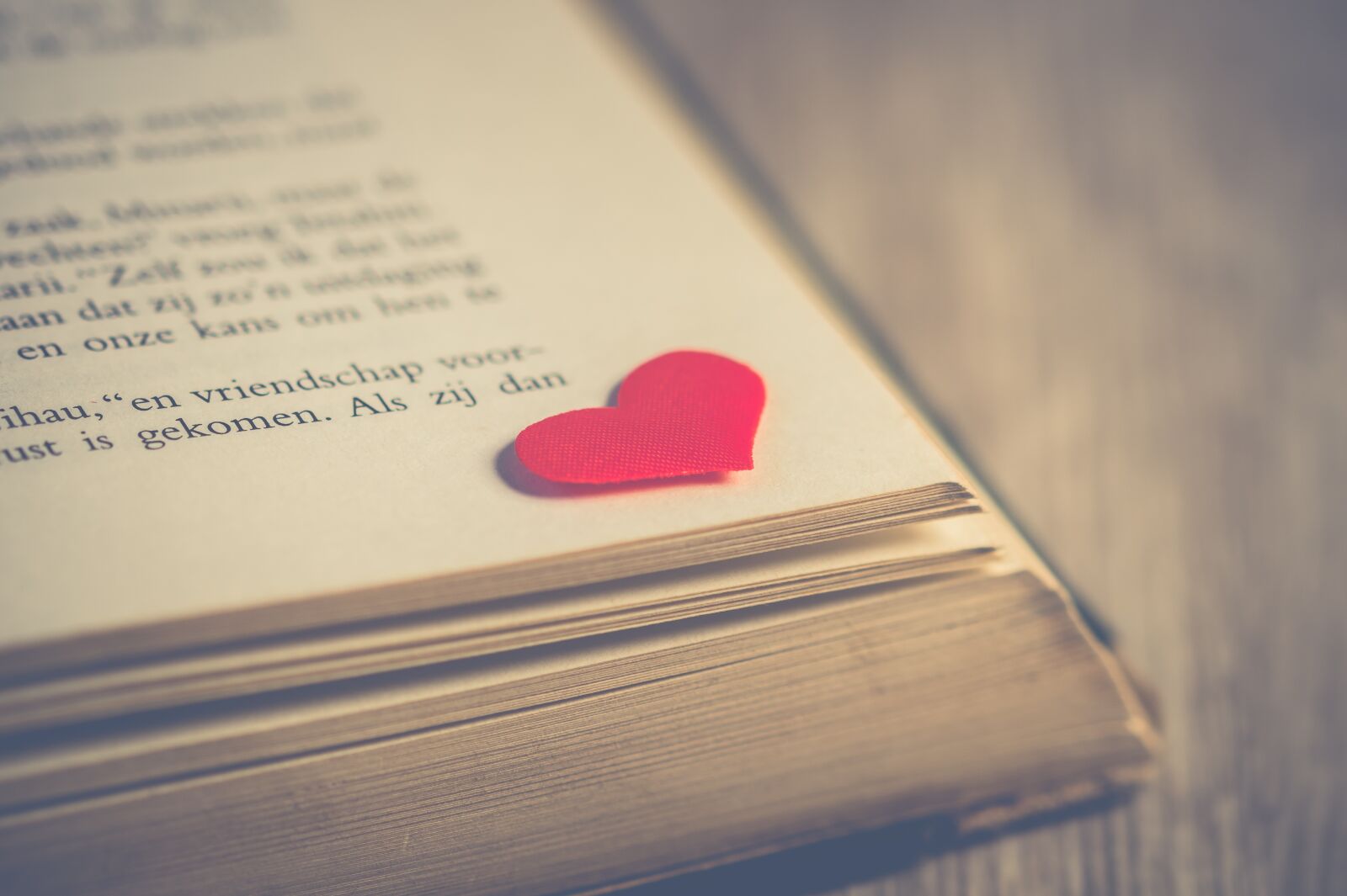 Sony SLT-A58 + 105mm F2.8 sample photo. Valentine, heart, love photography
