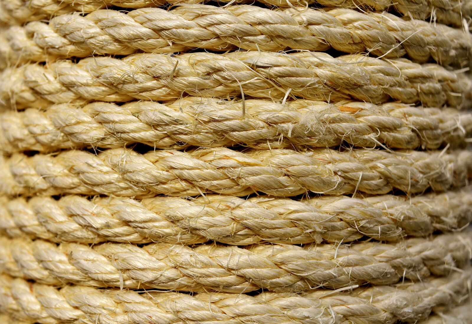 Nikon D7200 sample photo. Sisal, cord, wrapped photography