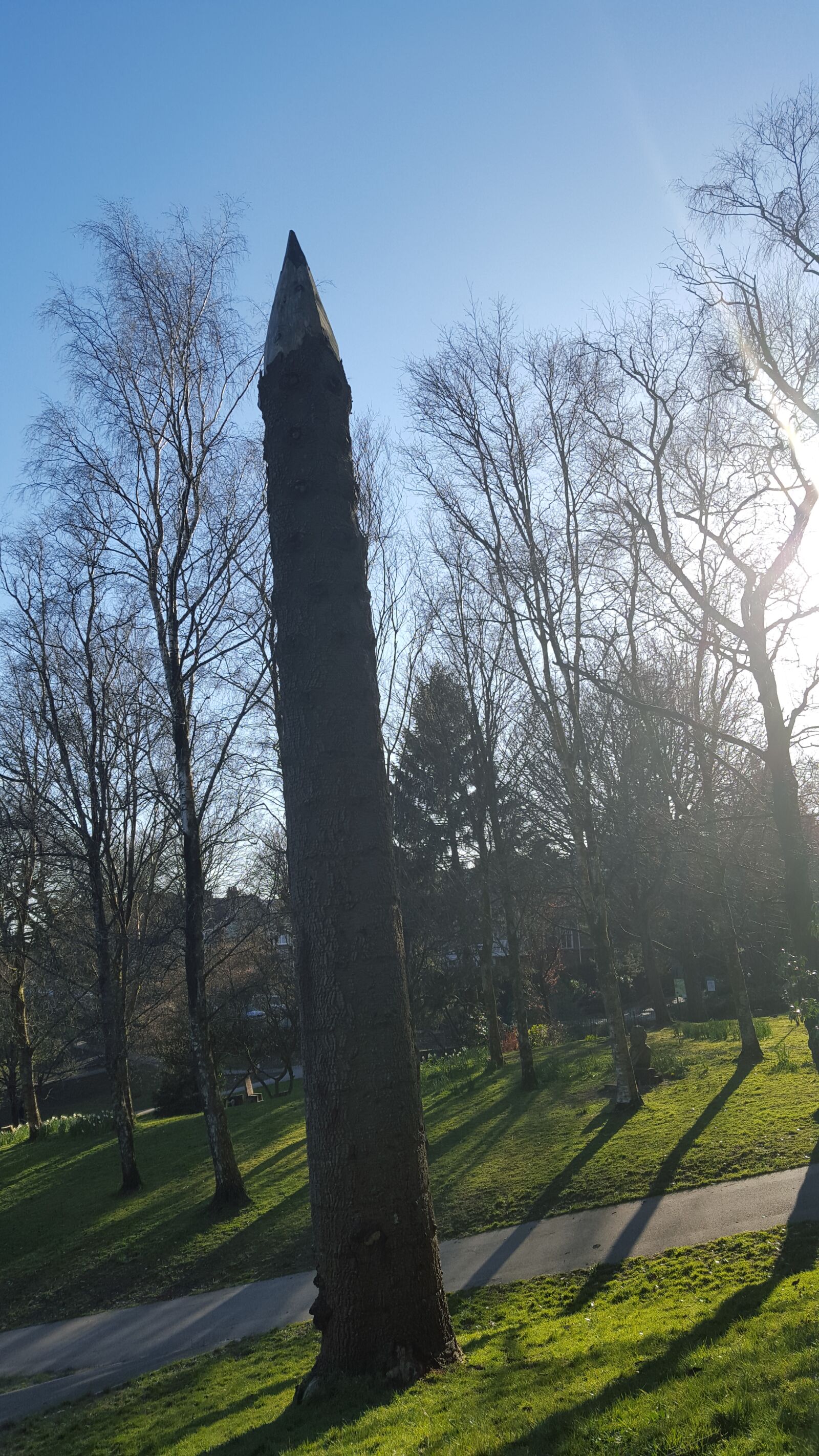 Samsung GALAXY S6 edge sample photo. Park, wood, tree photography