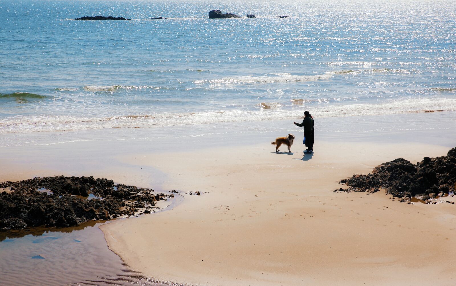 Canon EOS 5D Mark III sample photo. Beach, dog, marine photography