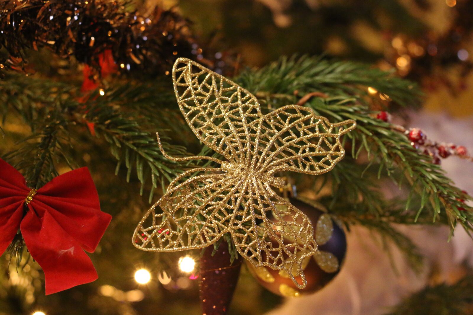 Canon EOS 70D + Canon EF 50mm F1.8 STM sample photo. Butterfly, decoration, christmas photography