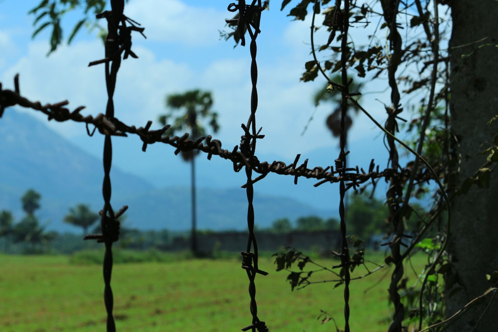Canon EOS 700D (EOS Rebel T5i / EOS Kiss X7i) sample photo. Nature, landscape, mountains photography
