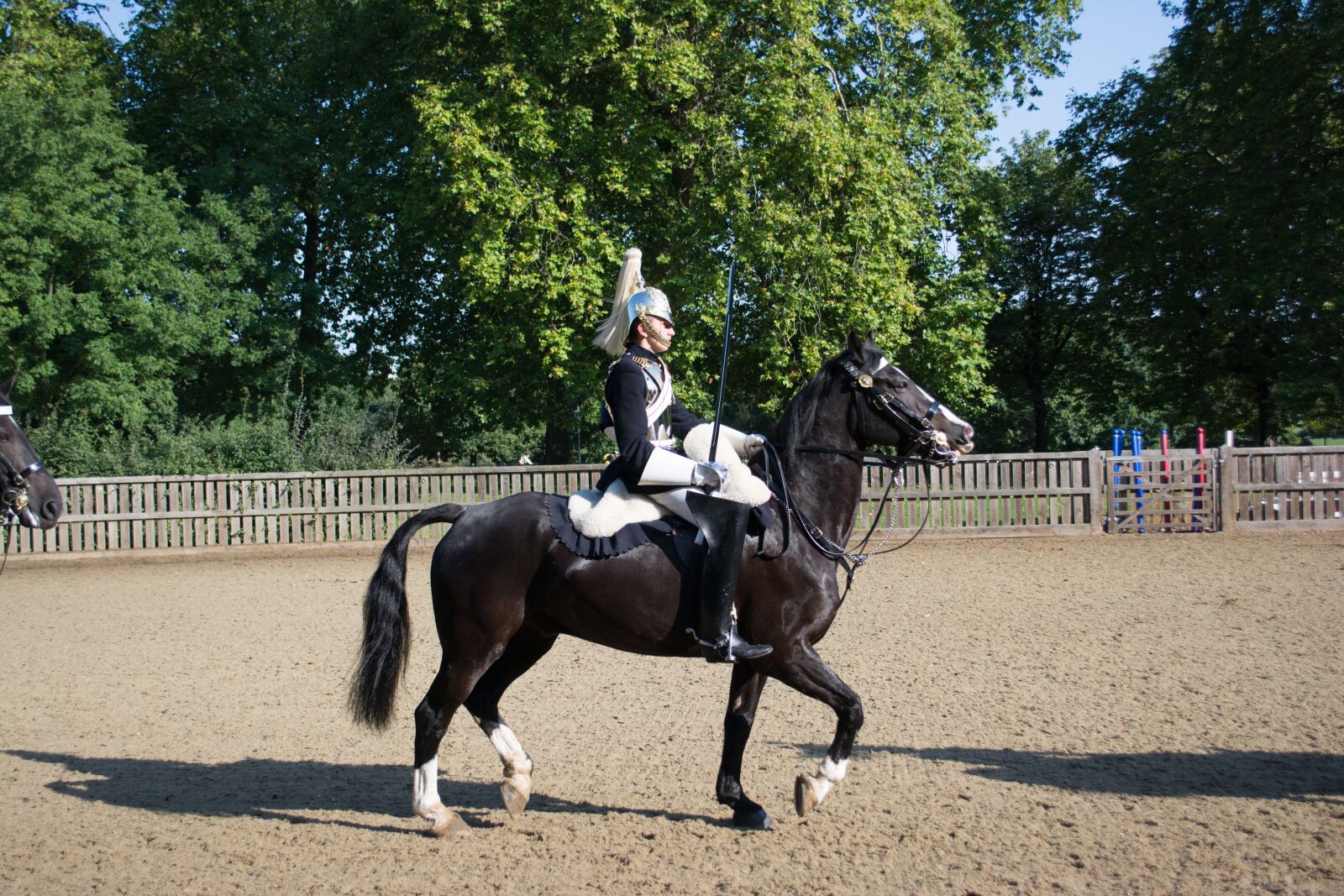 Nikon D5200 sample photo. London, reiter, queen photography