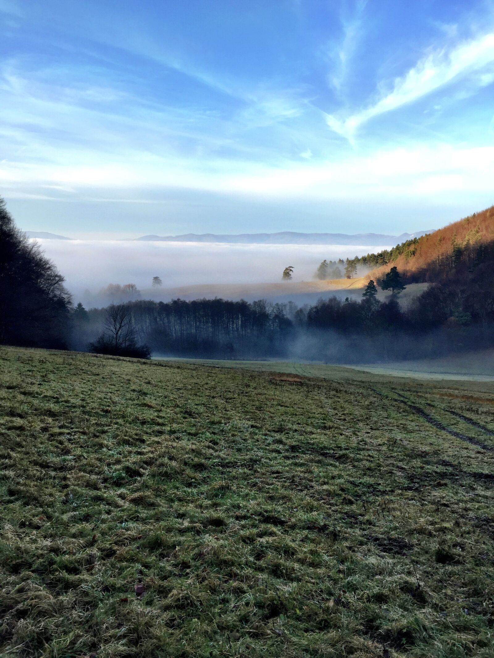 iPhone 6 back camera 4.15mm f/2.2 sample photo. Mountain, forest, nature photography