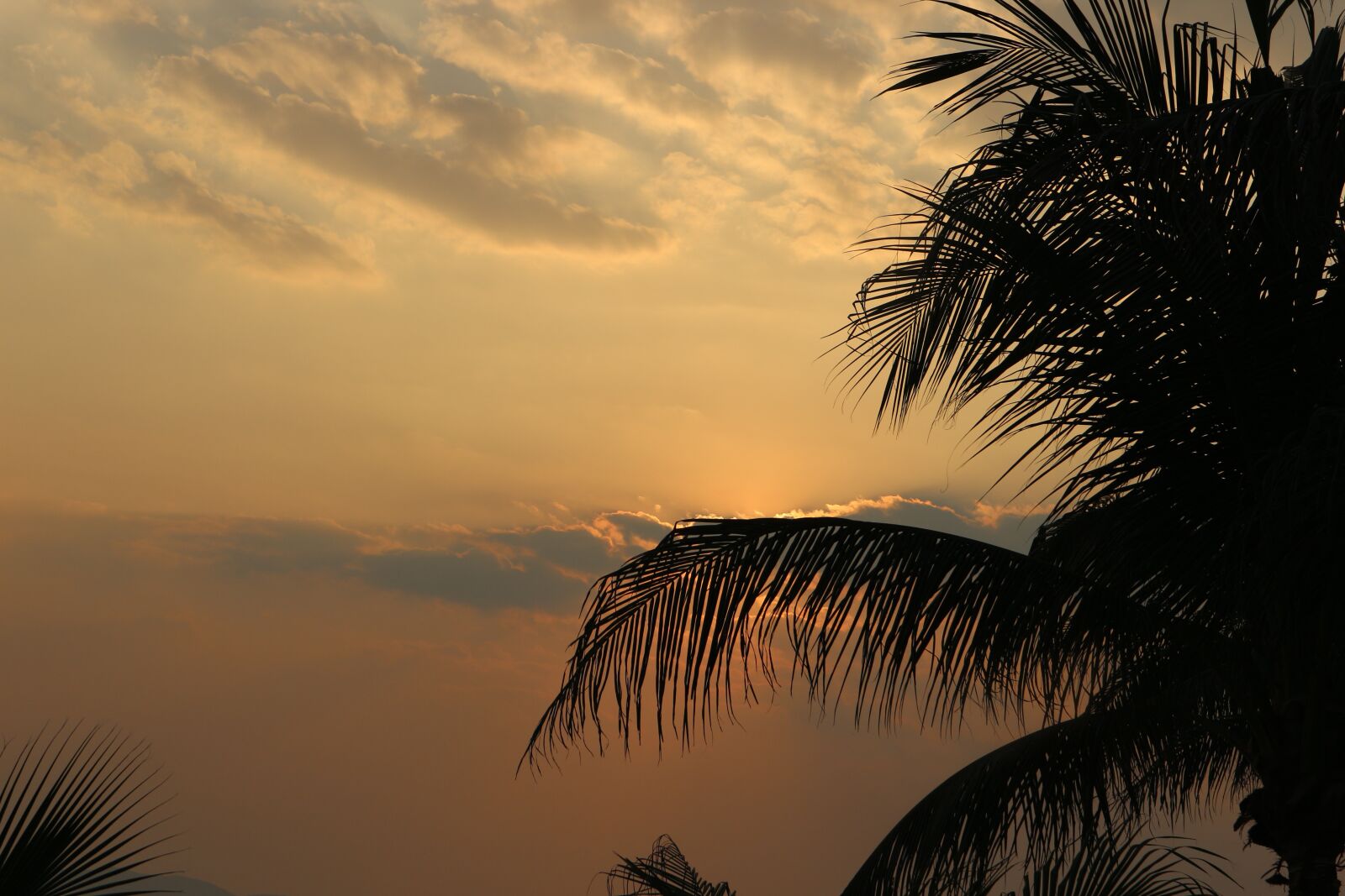 Canon EOS M10 sample photo. Sunset, bandara, thailand photography