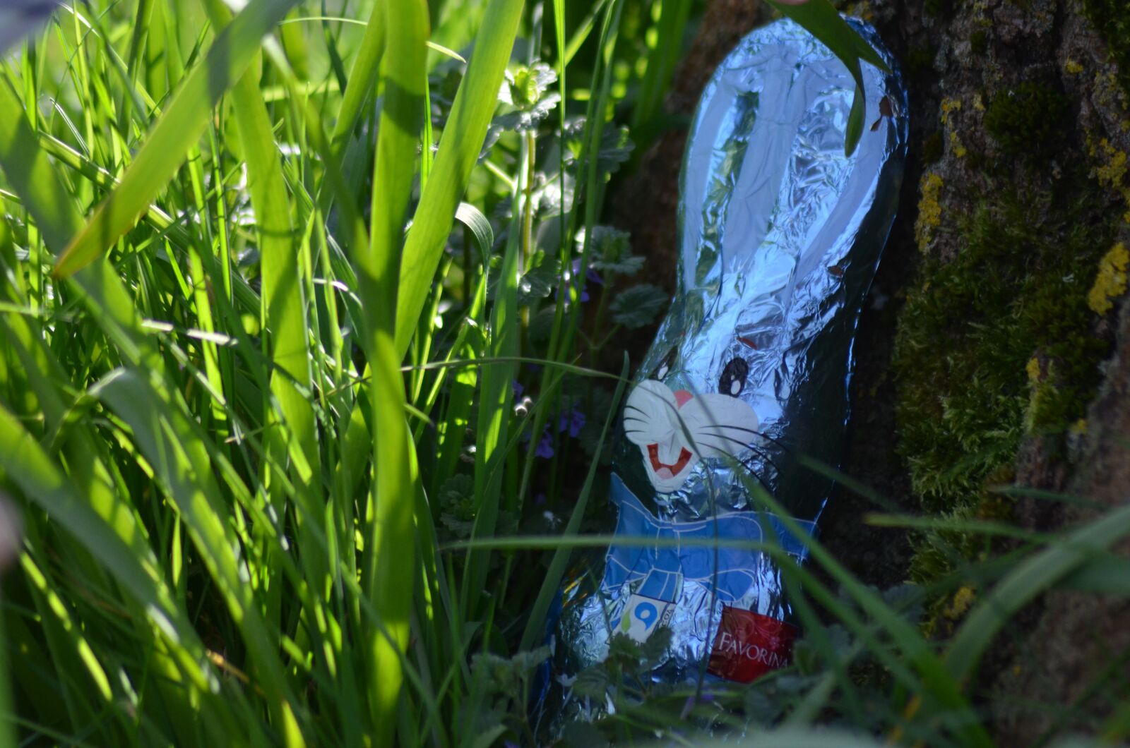 Nikon D5100 sample photo. Easter, chocolate easter, chocolate photography