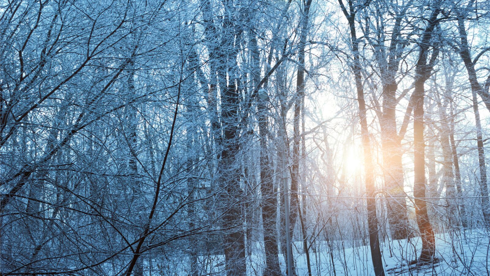 Canon EOS 60D sample photo. Winter, 2017, sunset photography