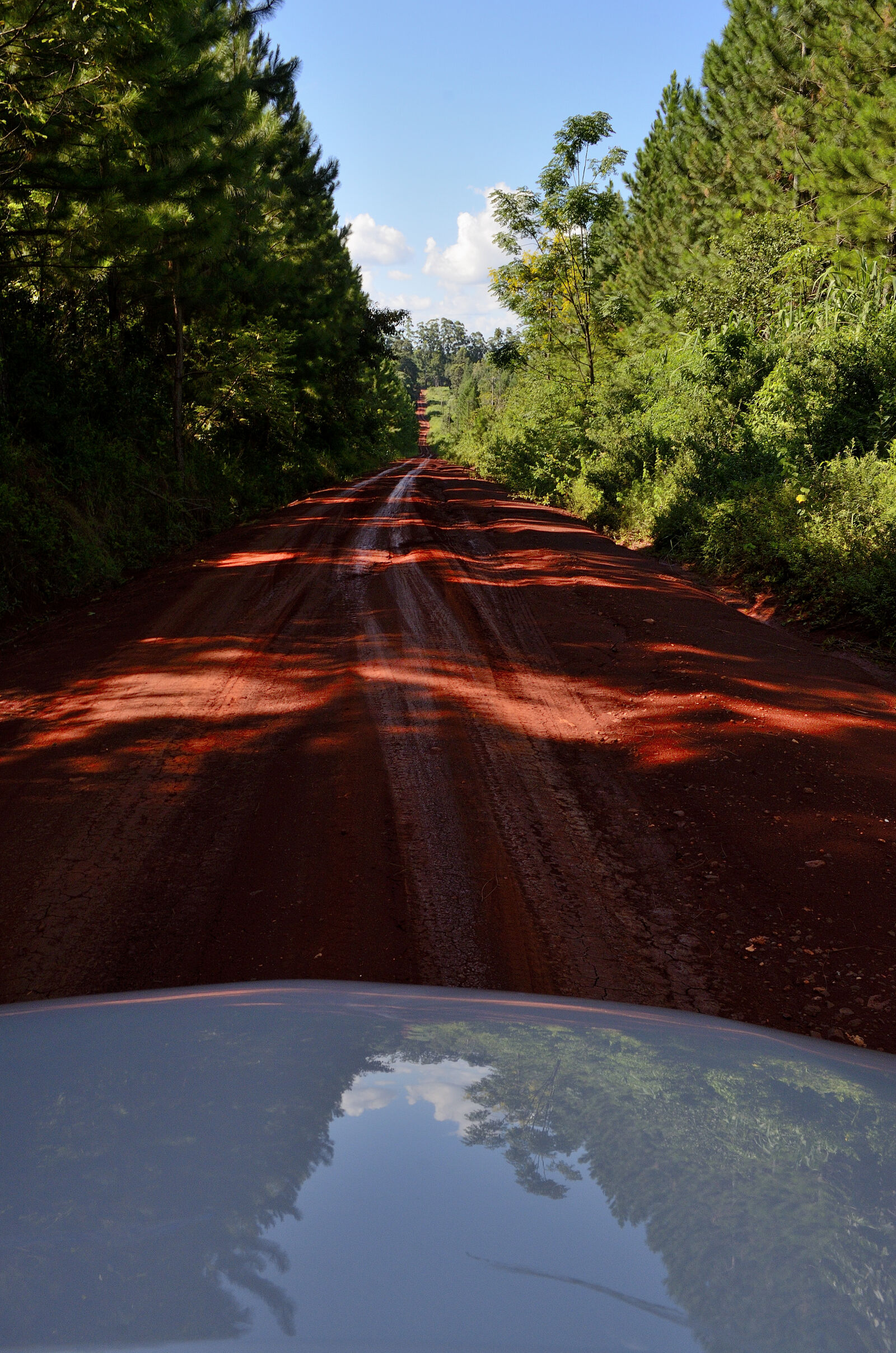 Nikon D5100 sample photo