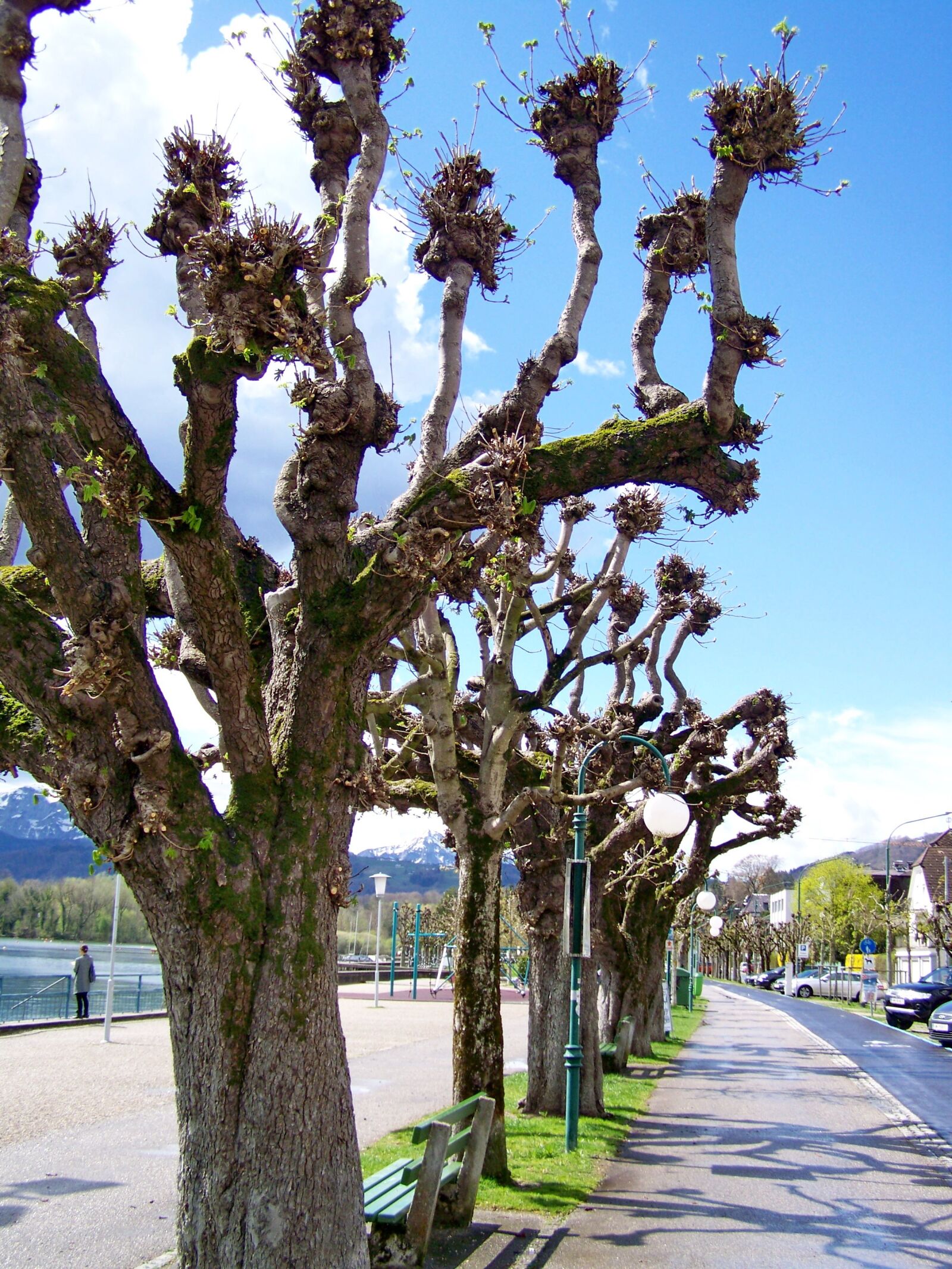 Kodak EASYSHARE ZD710 ZOOM DIGITAL CAMERA sample photo. Promenade, promo, austria photography