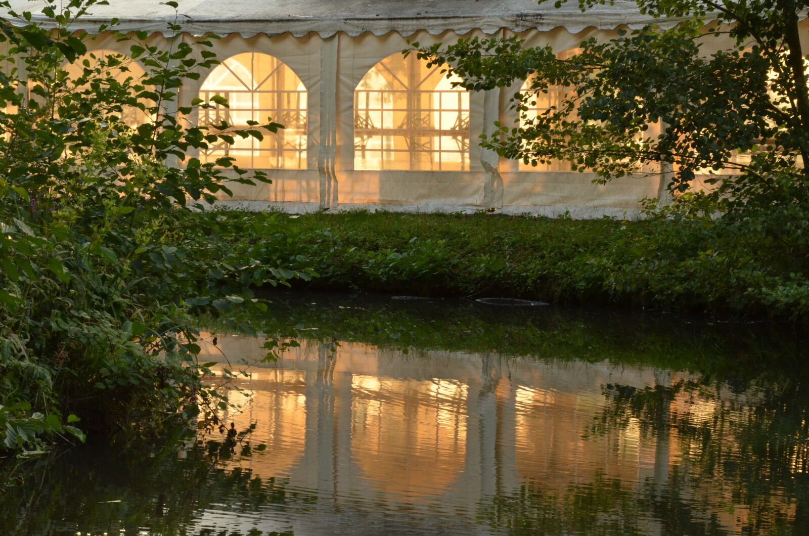 Nikon D7000 sample photo. Nature, water, tree photography