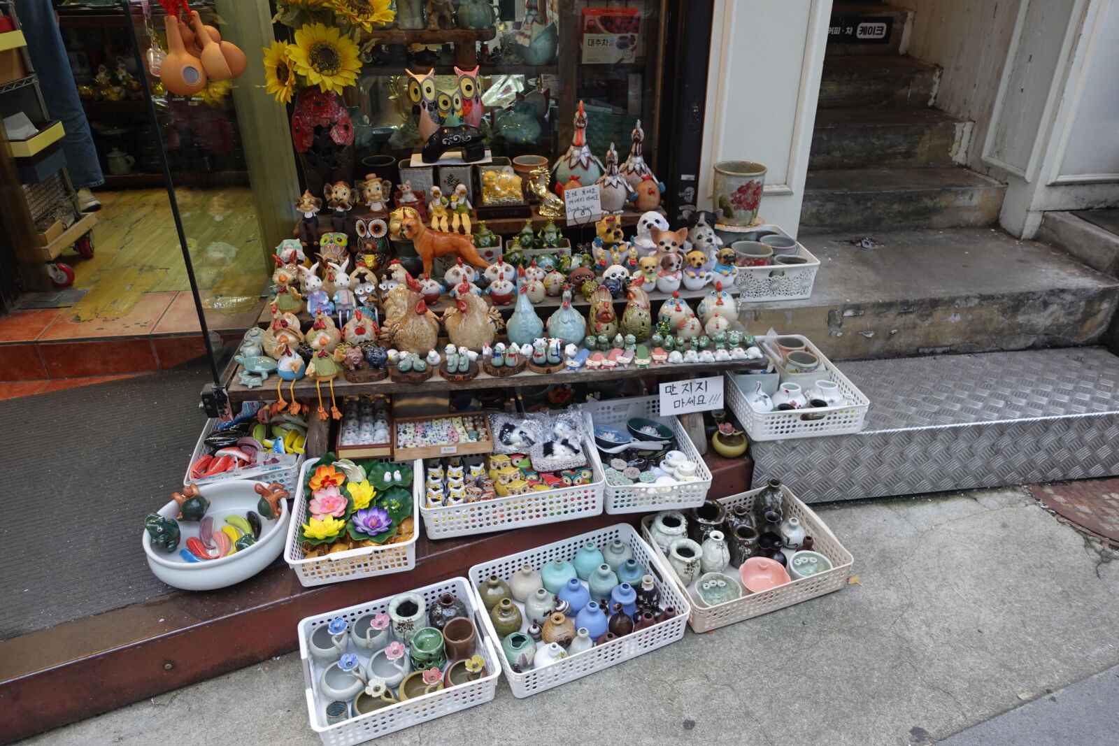 Sony ZV-1 sample photo