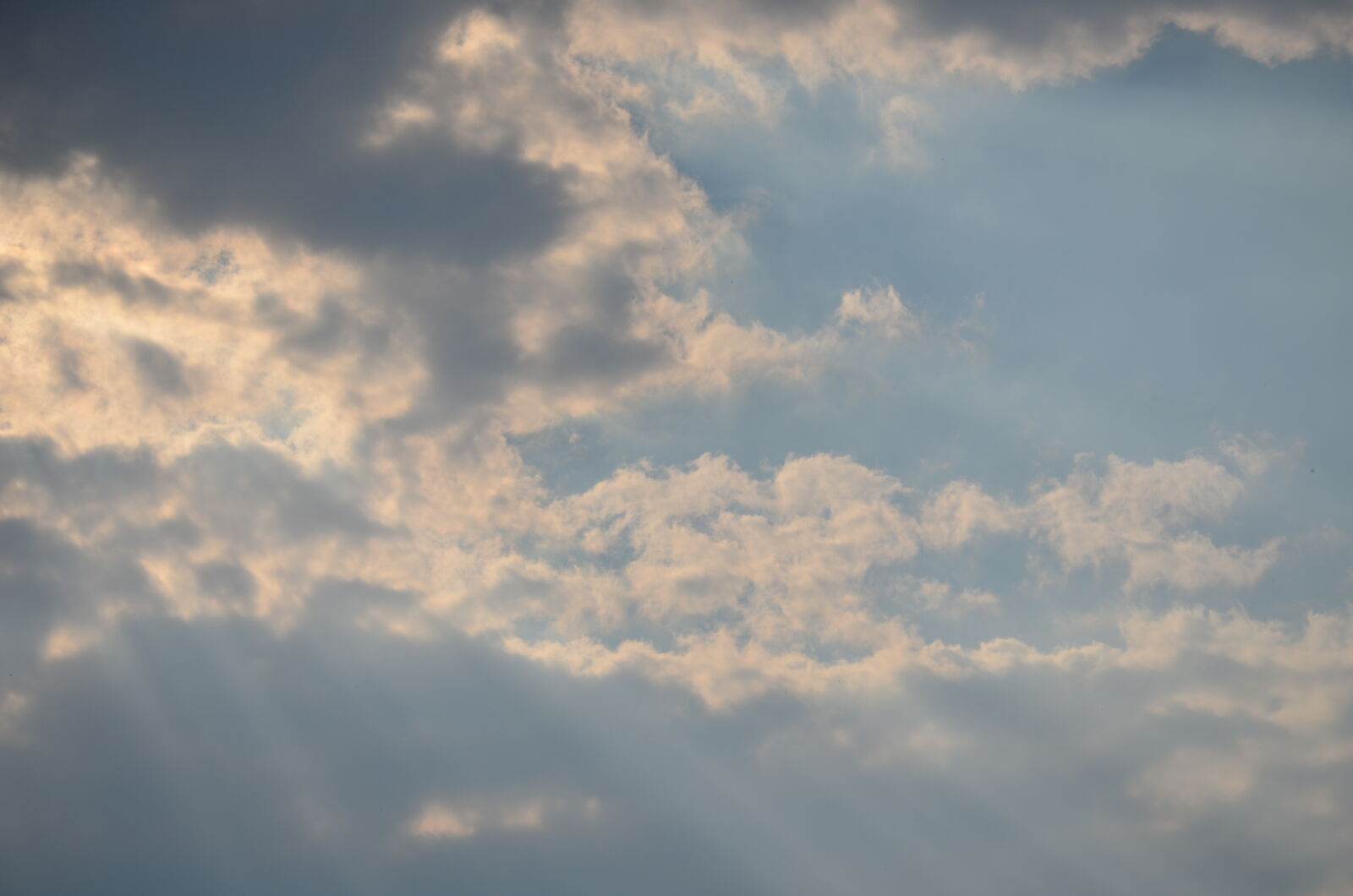 Nikon D5100 sample photo