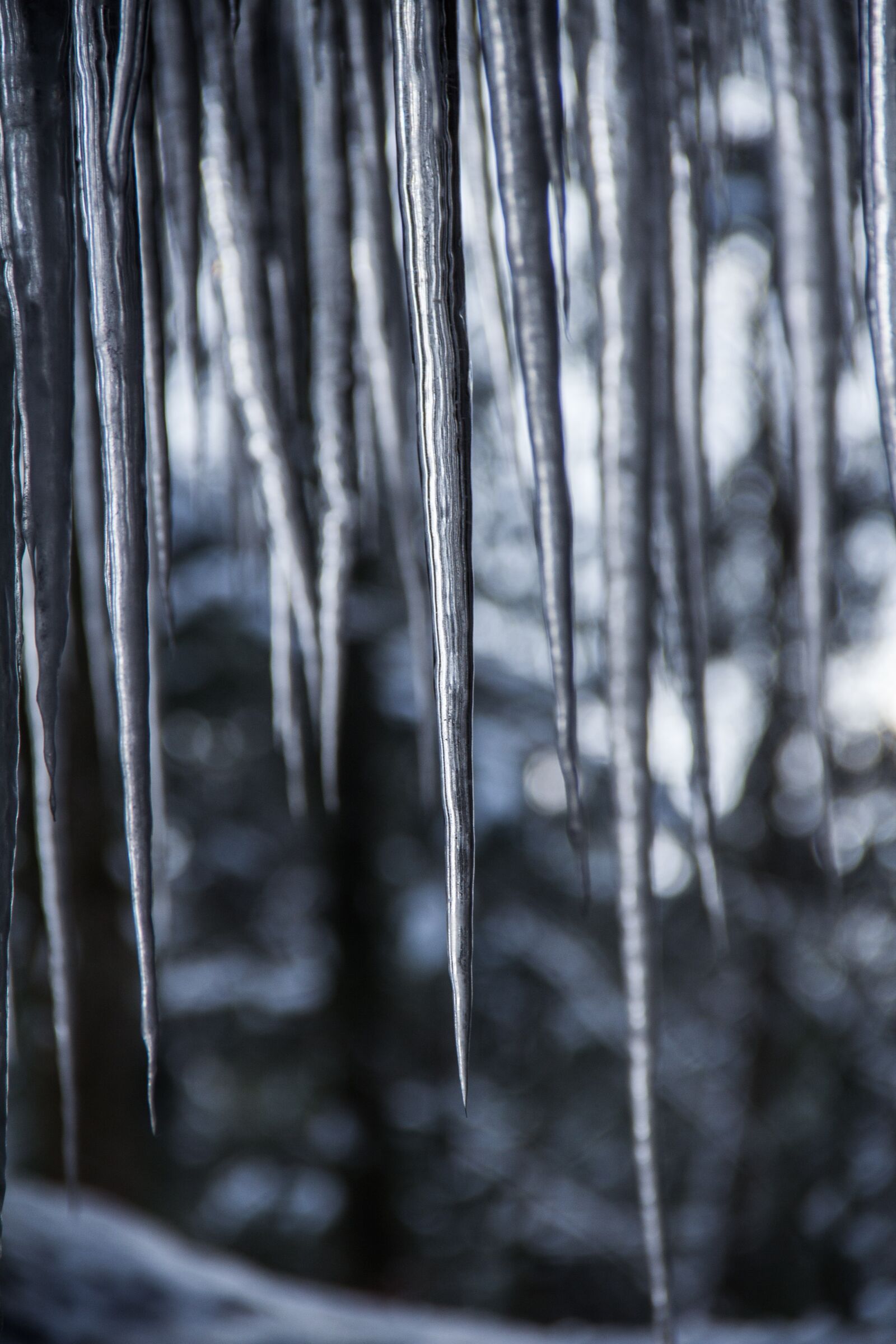 Canon EOS 600D (Rebel EOS T3i / EOS Kiss X5) sample photo. Winter, icicle, ice photography