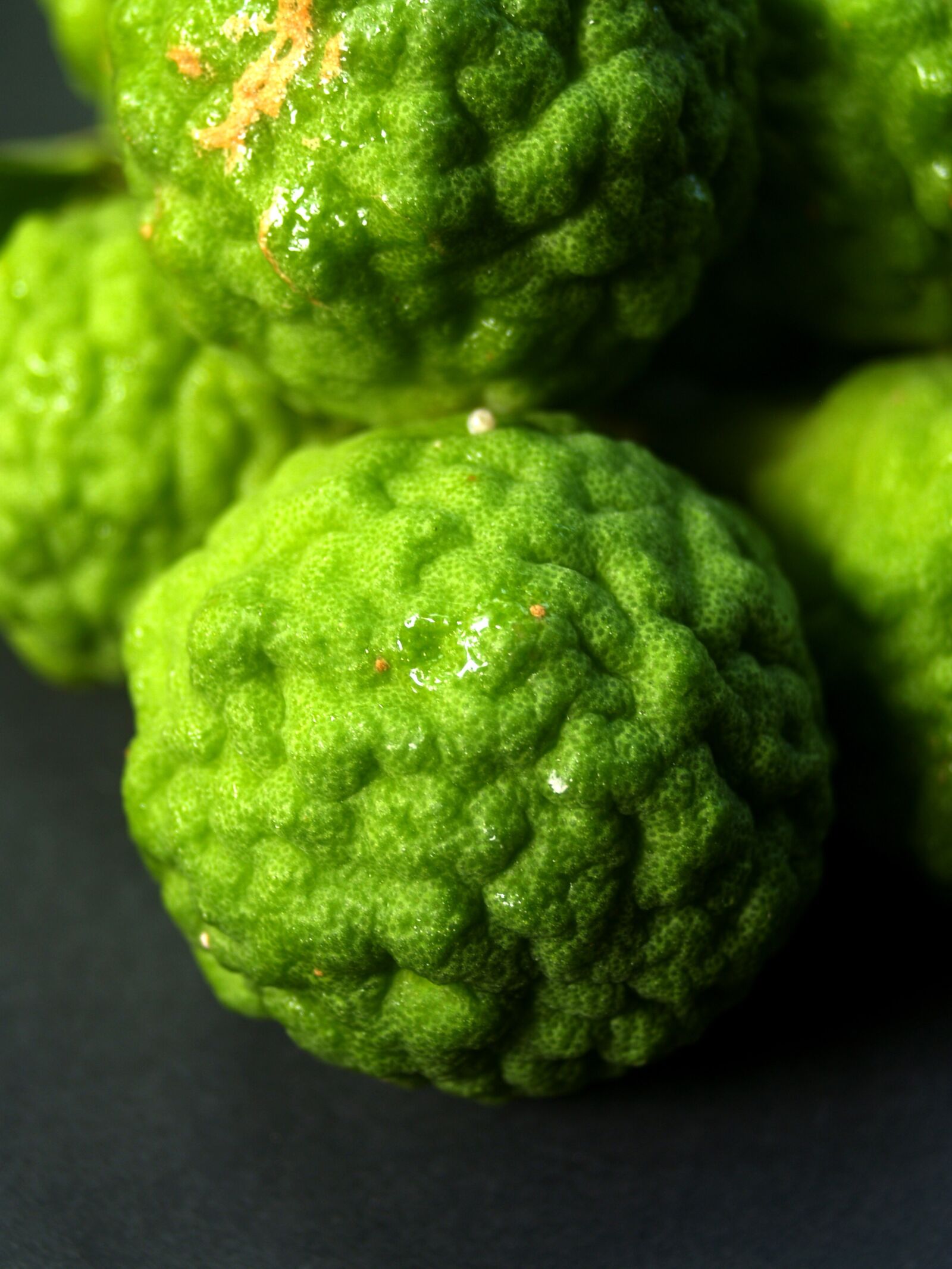Olympus E-300 (EVOLT E-300) sample photo. Bergamot, fruit, leaf photography