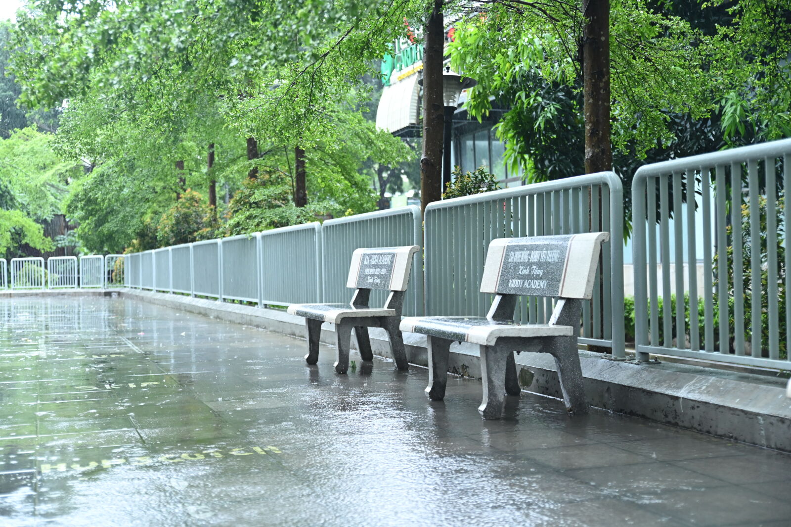Nikon D780 sample photo
