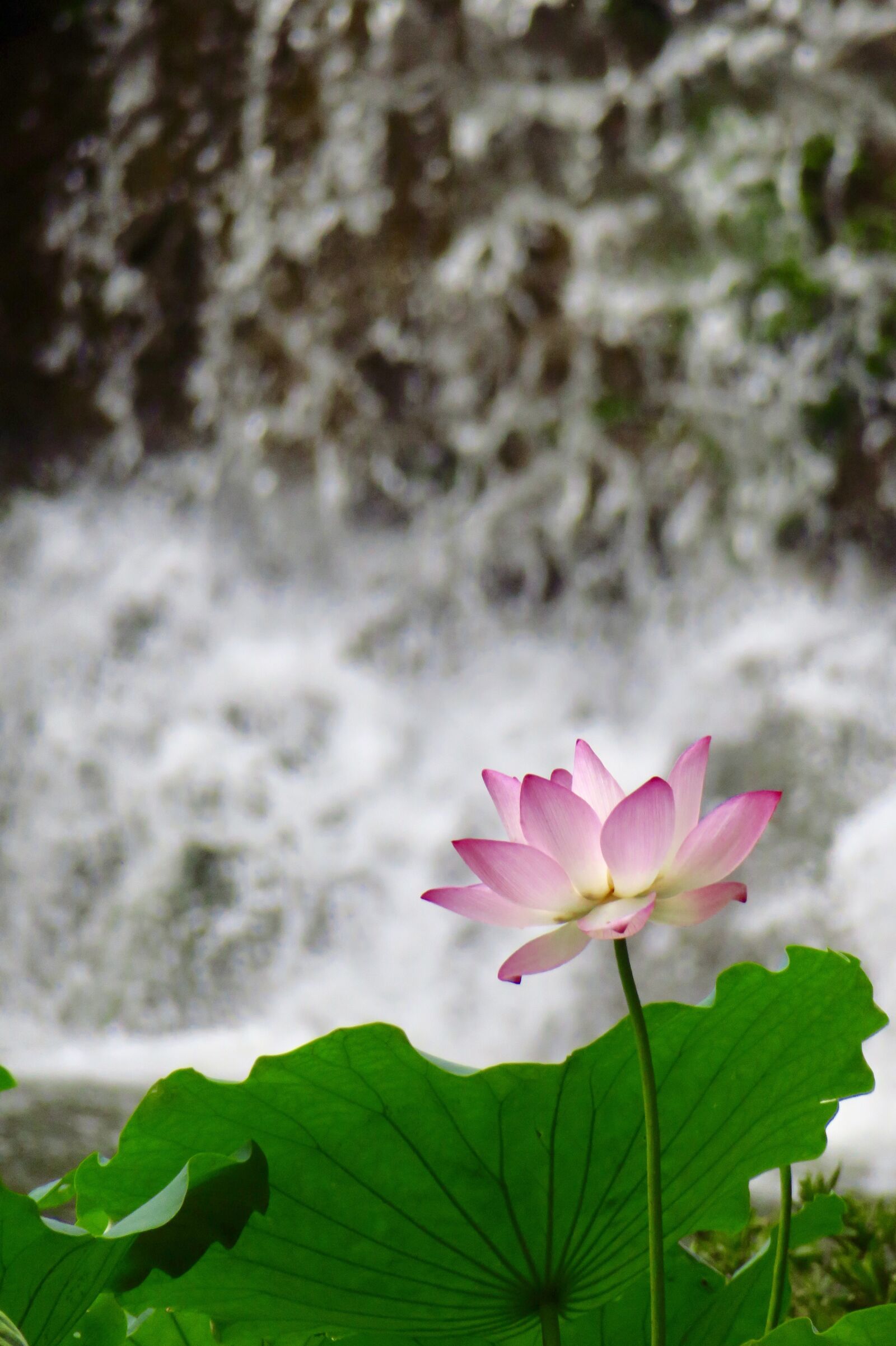 Canon PowerShot G3 X sample photo. Water, falls, natural photography