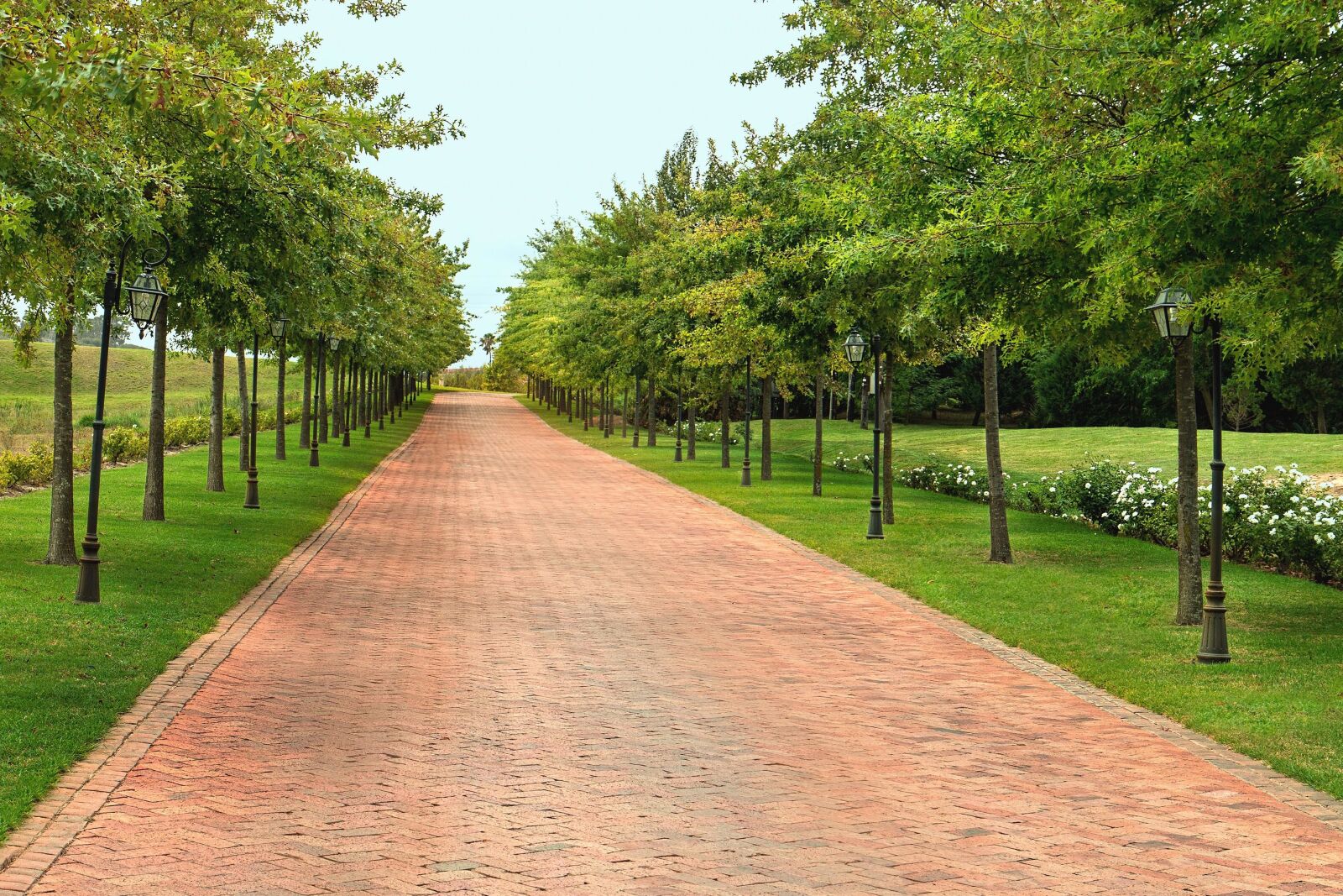 Canon EOS 70D sample photo. Road, grass, tree, cloud photography