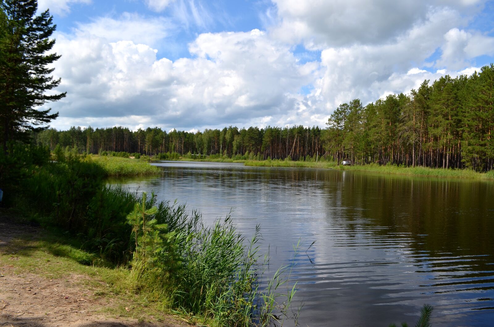 Nikon D5100 sample photo. Taiga, forest, lake photography