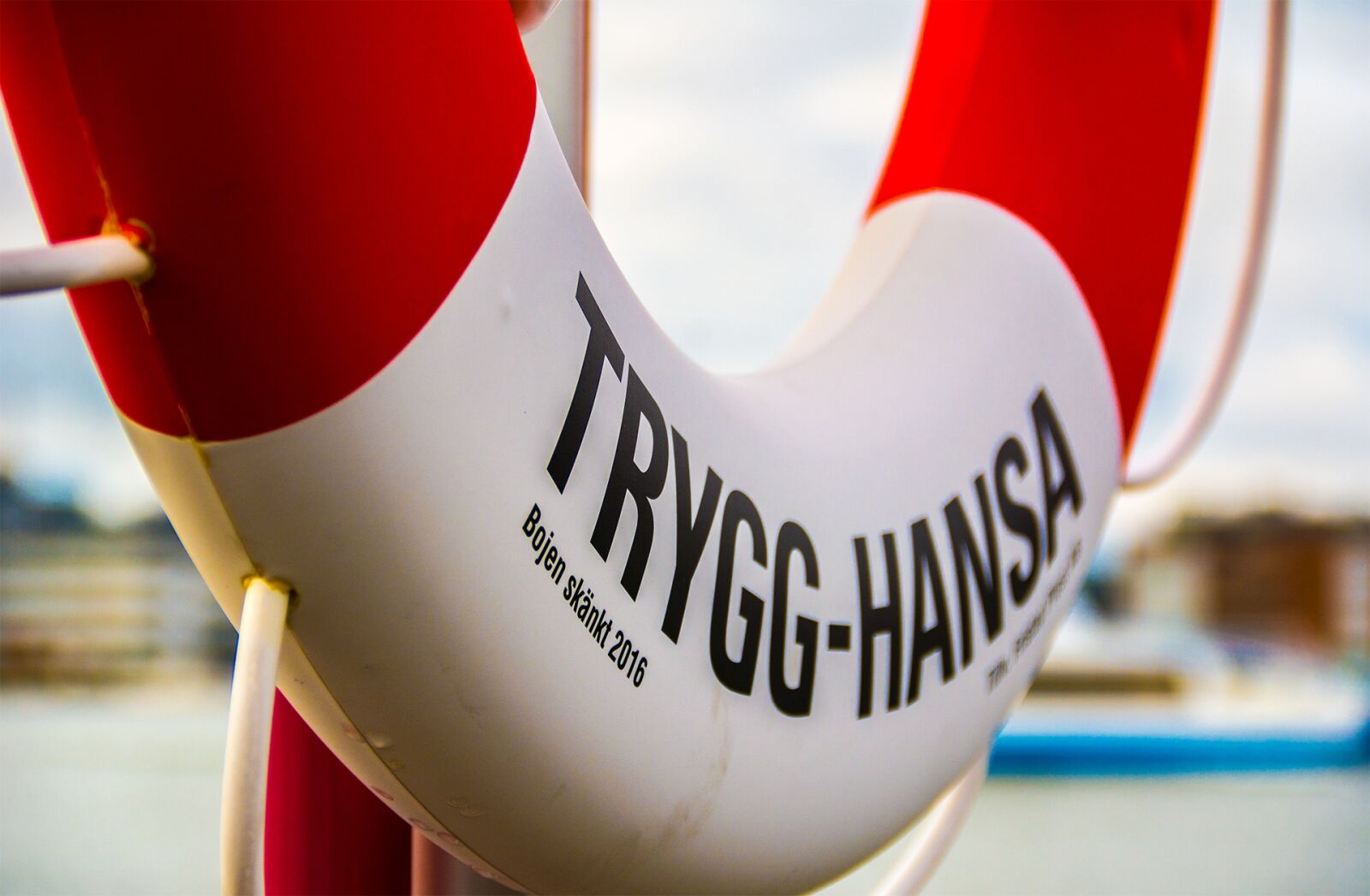 Nikon D7100 sample photo. Lifebuoy, ferry, water photography