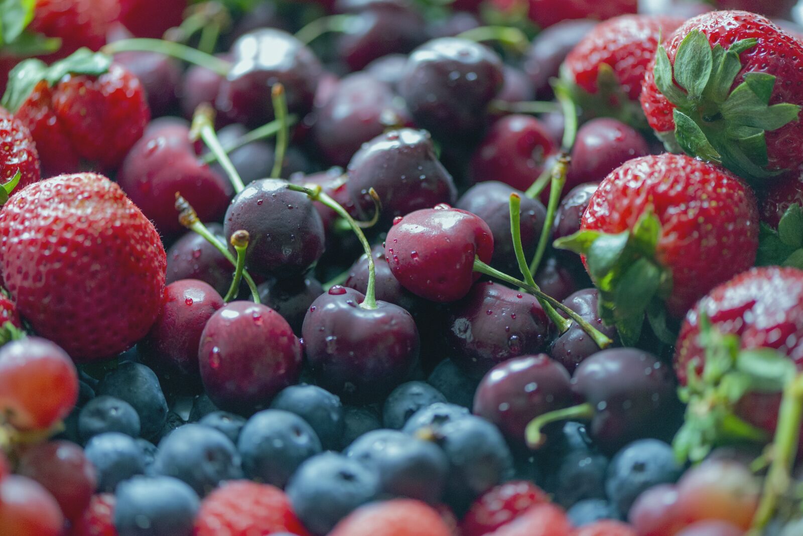Nikon D610 sample photo. Strawberry, blueberries, cherries photography