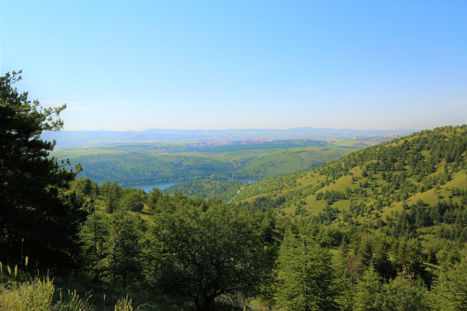 Canon EOS 5D Mark III sample photo. Landscape, nature, forest photography