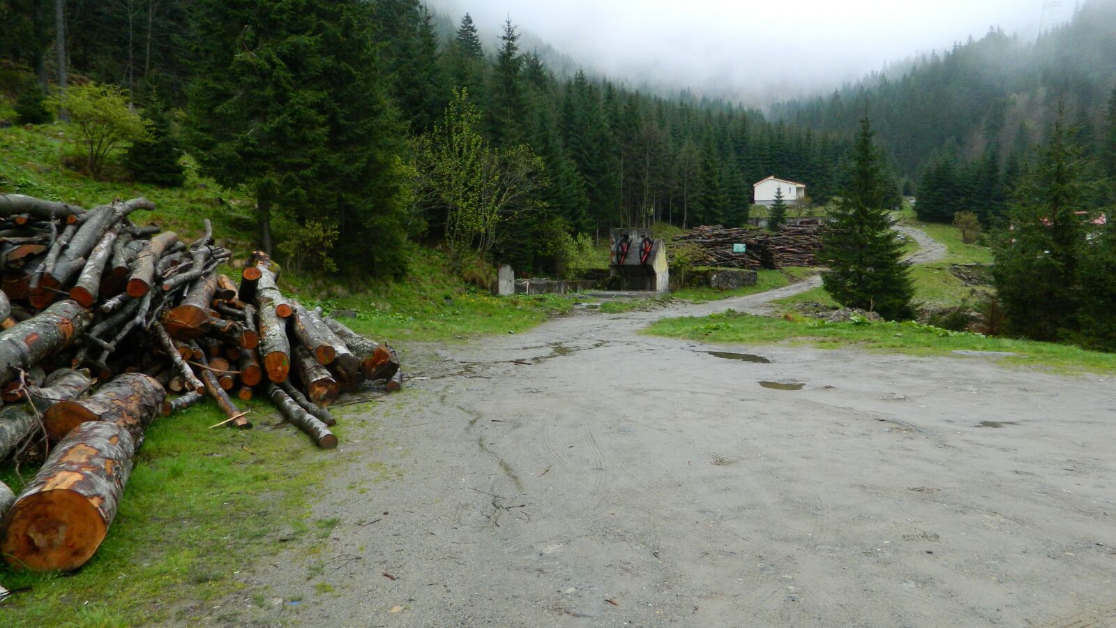 Nikon COOLPIX L310 sample photo. The transfagarasan, mountains, forest photography