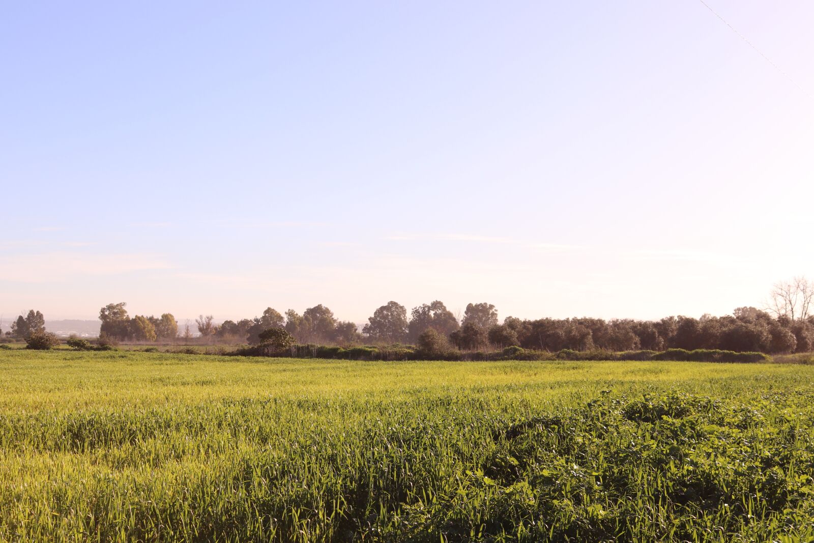 Canon EOS 200D (EOS Rebel SL2 / EOS Kiss X9) sample photo. Blue sky, green, meadow photography