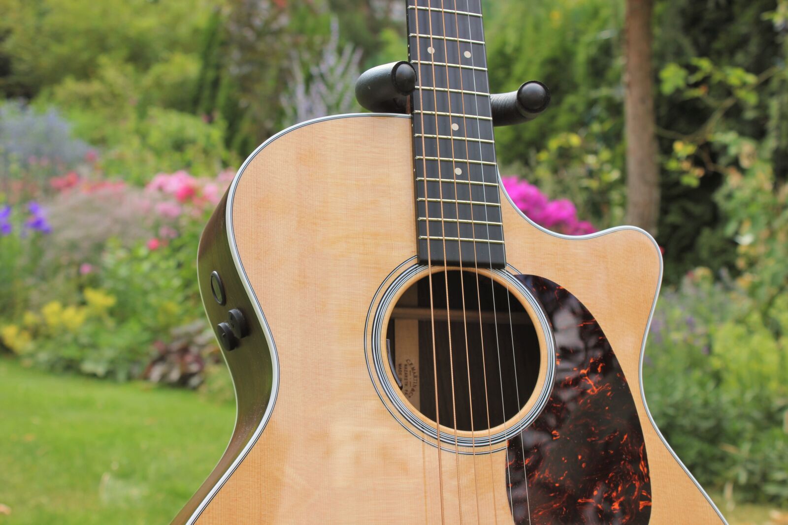 Canon EOS 550D (EOS Rebel T2i / EOS Kiss X4) sample photo. Guitar, close up, garden photography
