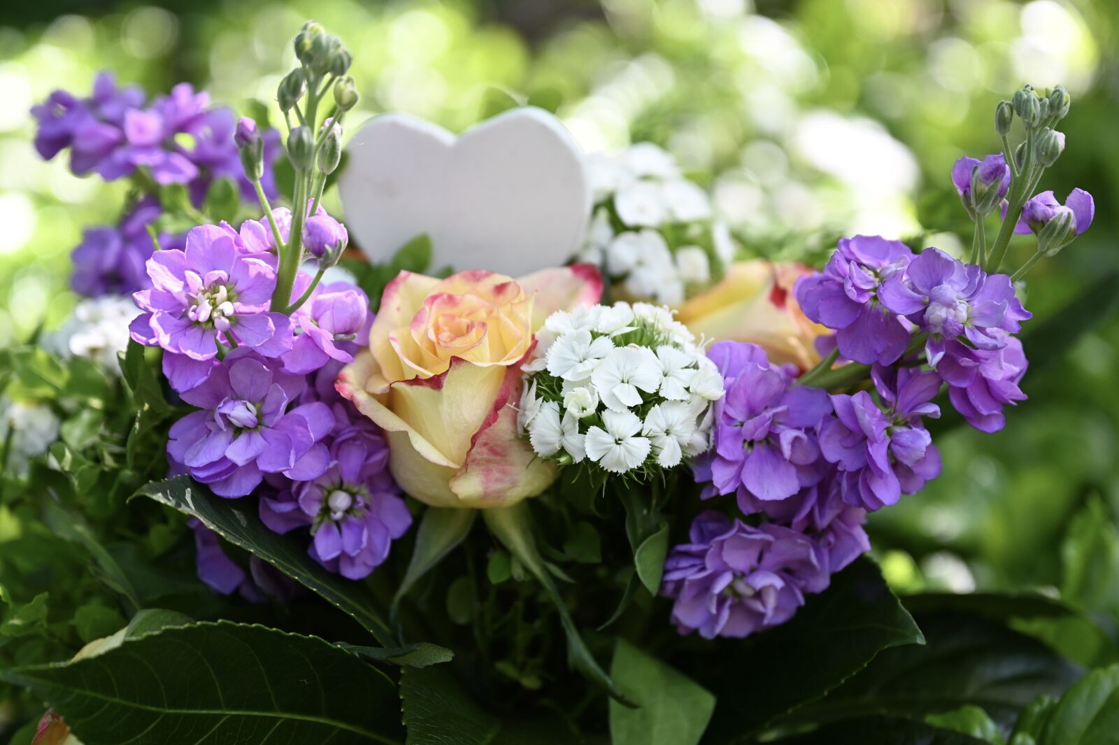 Nikon Z6 sample photo. Bouquet, rose, flowers photography