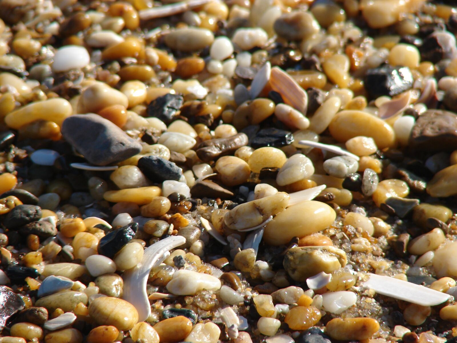 Sony DSC-H2 sample photo. Pebbles, beach, rocks photography