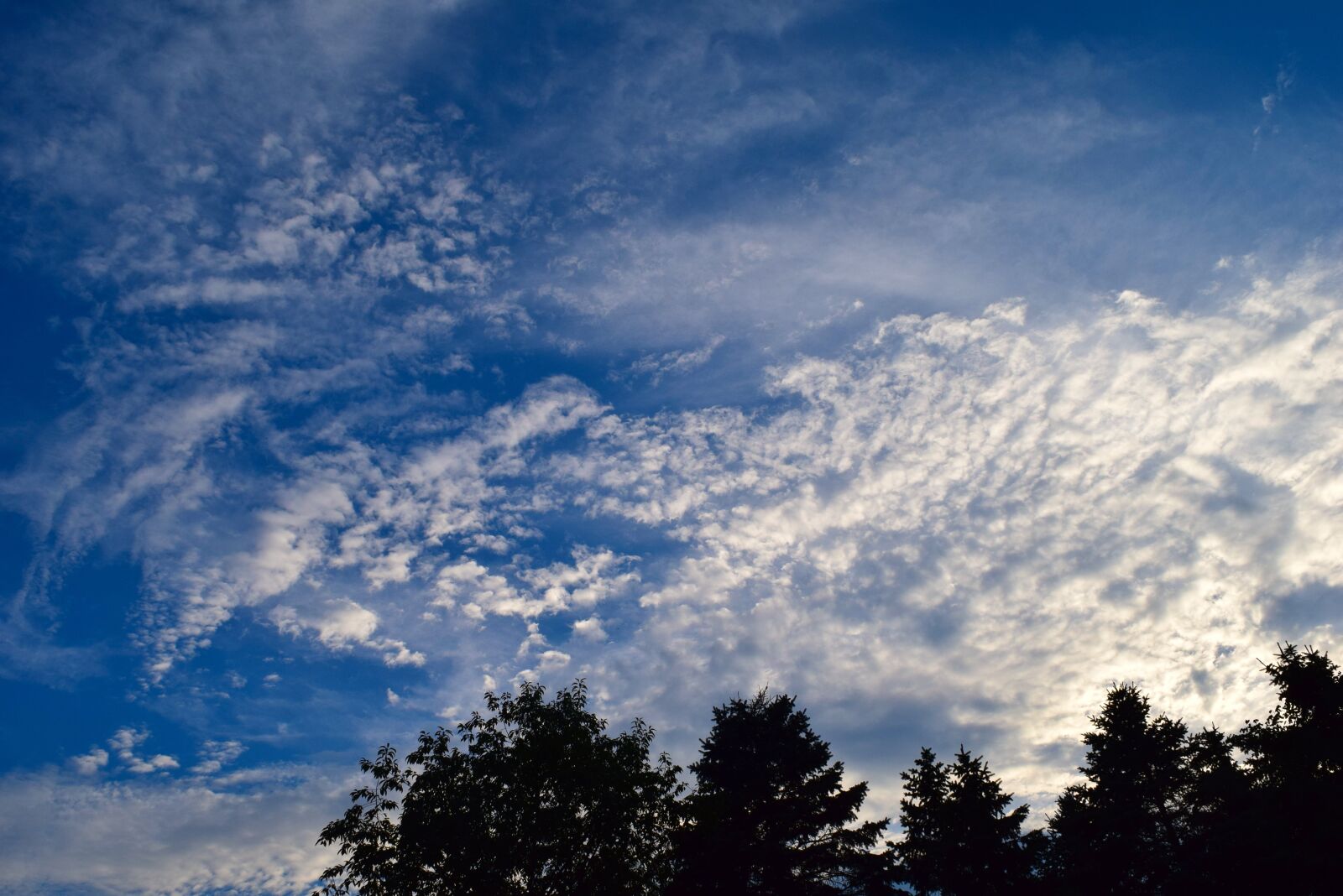 Nikon D3300 sample photo. Sky, blue, clouds photography