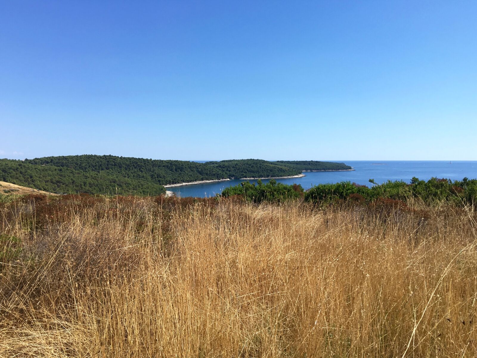 Apple iPhone 6s Plus sample photo. Croatia, kamenjak, prementura photography