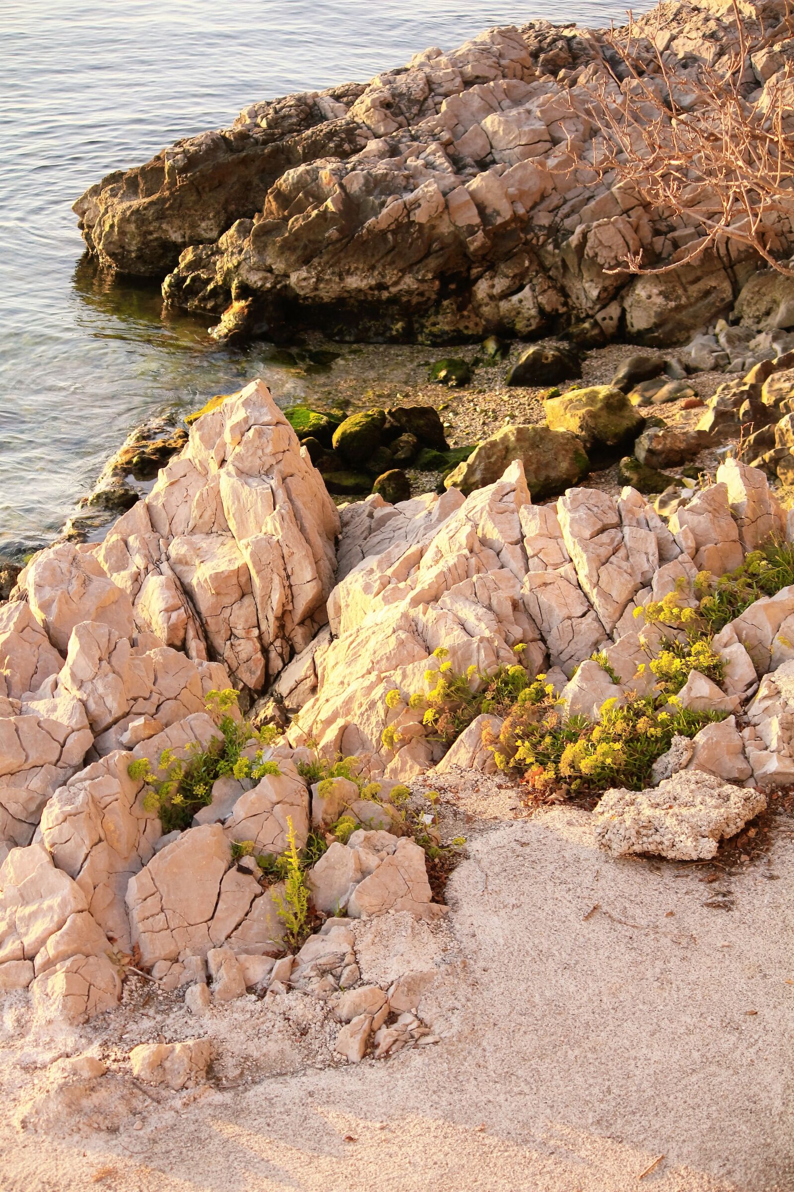 Canon EOS 550D (EOS Rebel T2i / EOS Kiss X4) sample photo. Swim, beach, waters photography