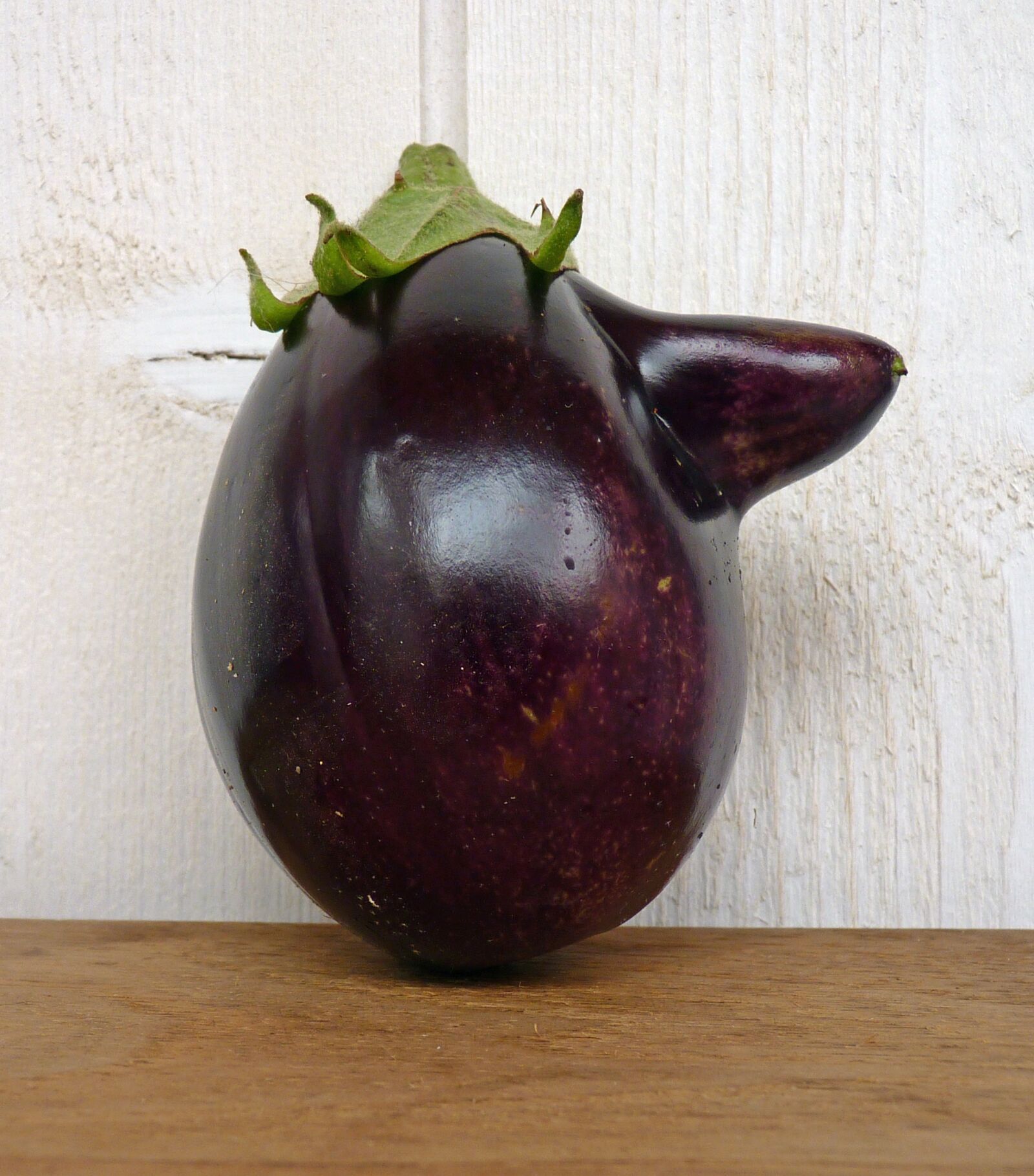 Panasonic Lumix DMC-FZ35 (Lumix DMC-FZ38) sample photo. Vegetables, eggplant, vegetable garden photography