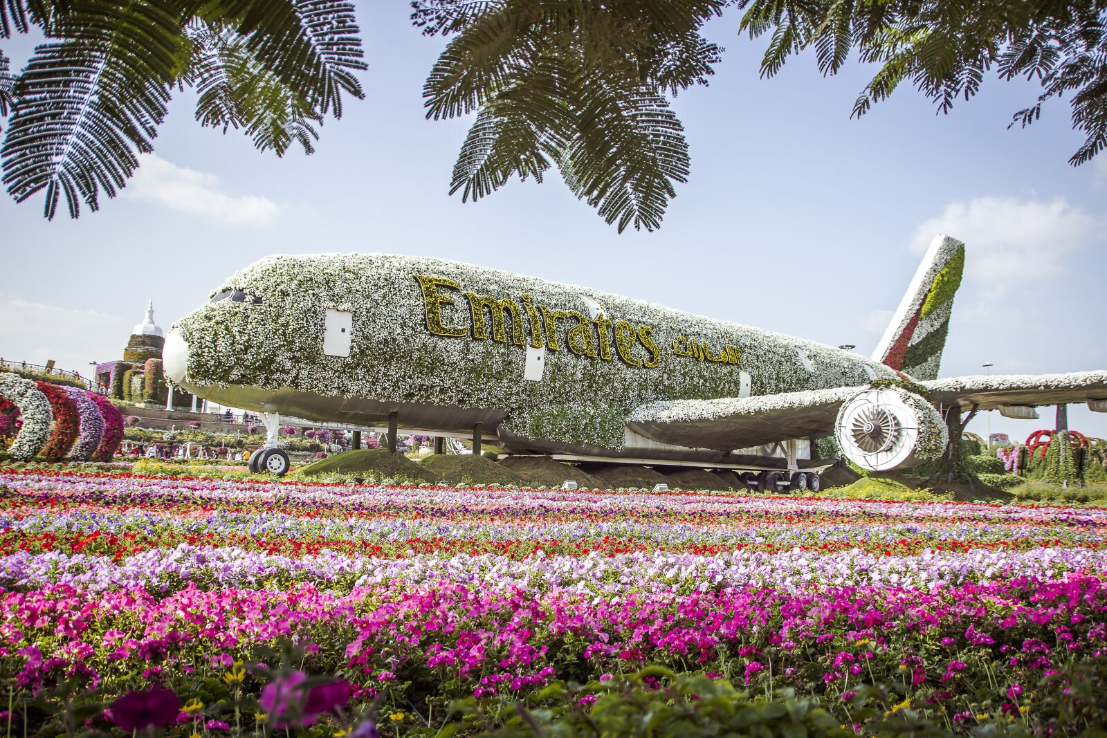 Canon EOS 600D (Rebel EOS T3i / EOS Kiss X5) sample photo. Miracle garden dubai, flowers photography