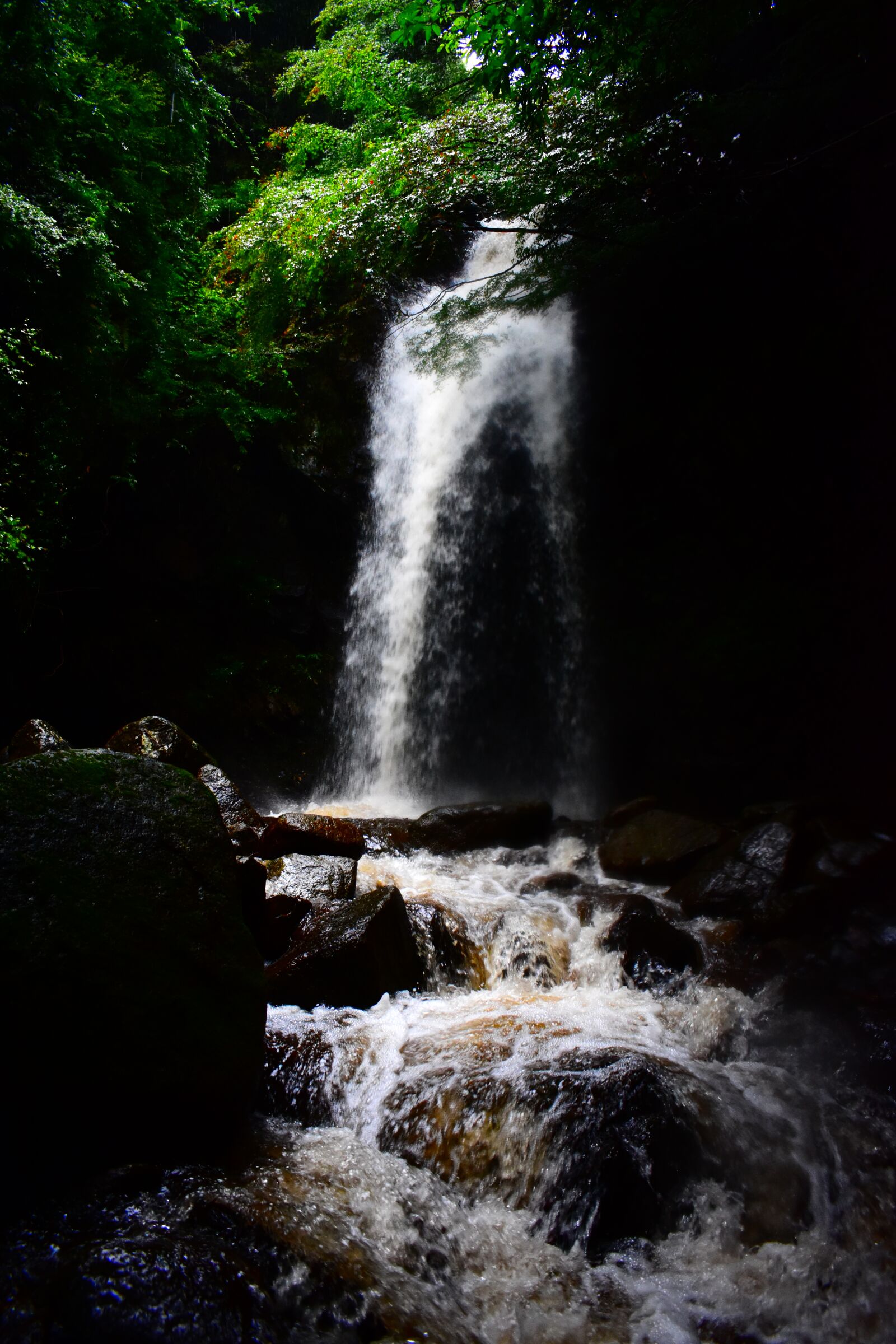 Nikon D3400 sample photo. Waterfall, nature, green photography