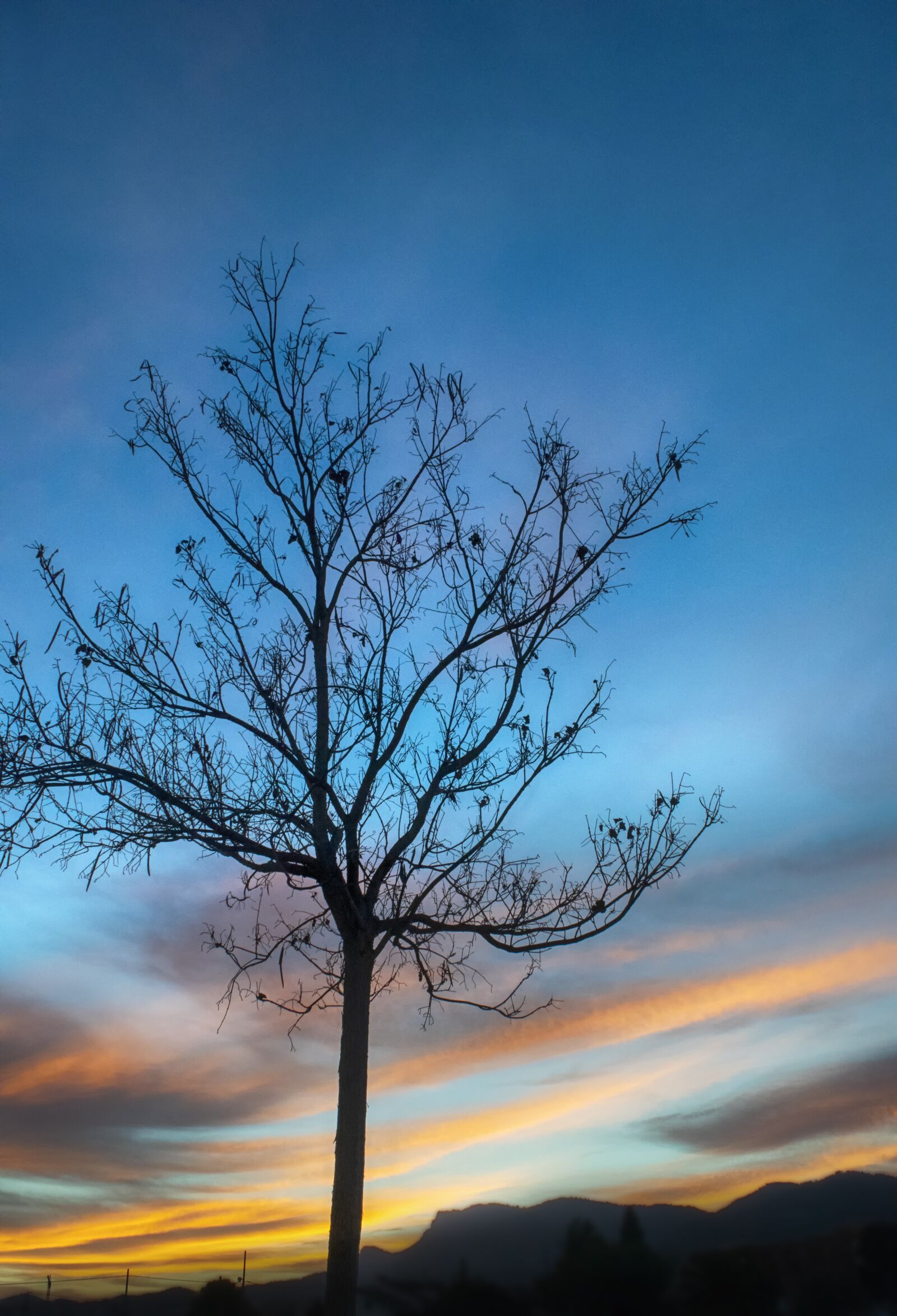 Nikon D3300 sample photo. Sunset, tree, sky photography