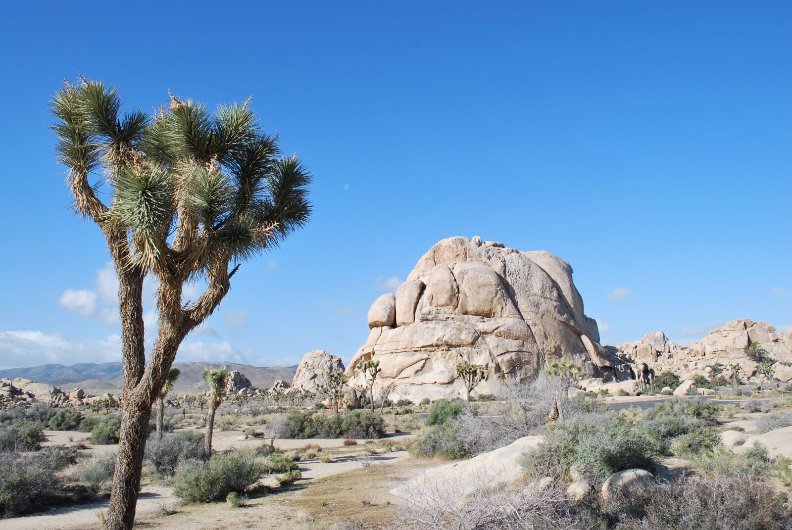 Nikon D60 sample photo. Rock, national park, nature photography