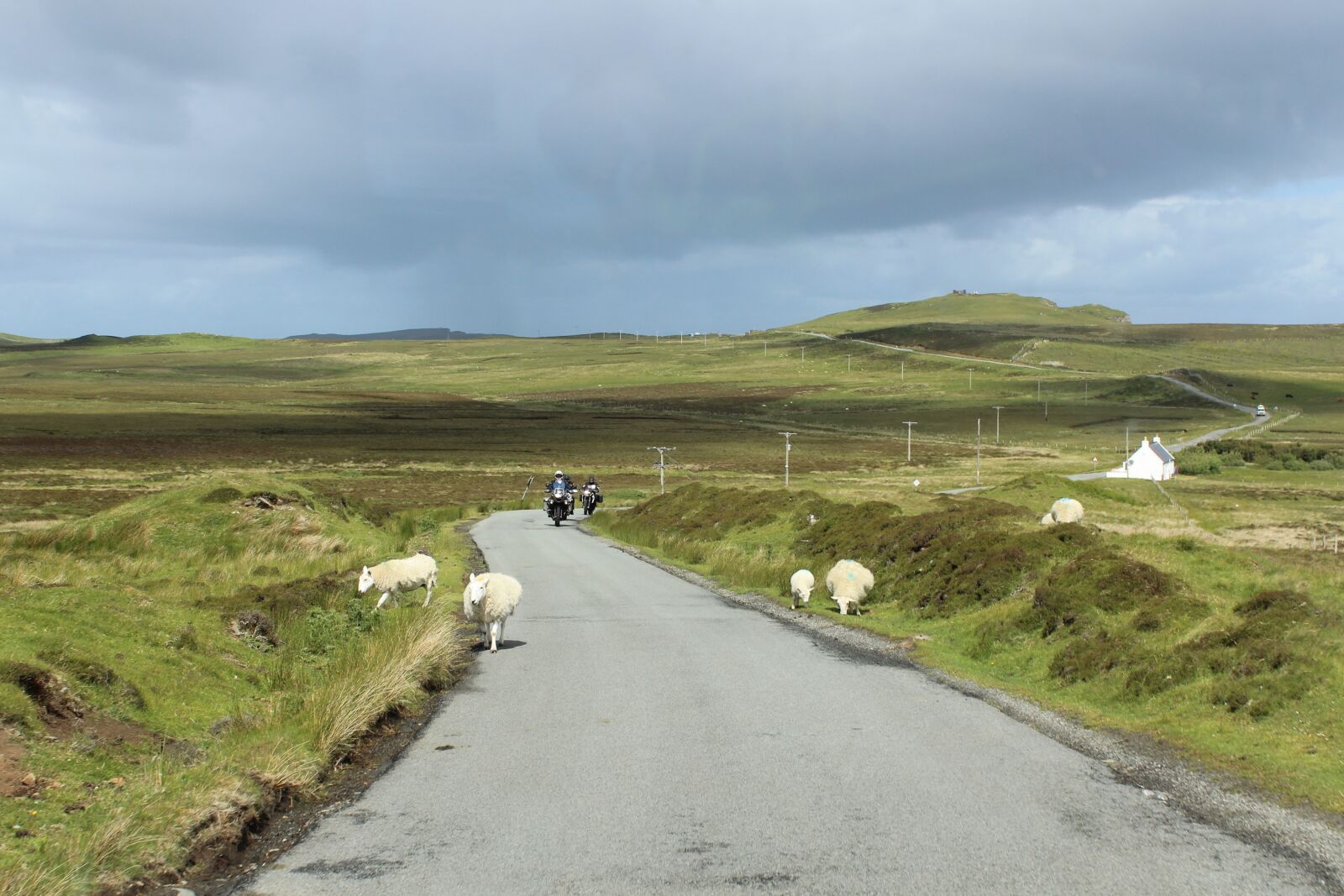 Canon EOS 1200D (EOS Rebel T5 / EOS Kiss X70 / EOS Hi) sample photo. Scotland, sheep, motorcycle photography