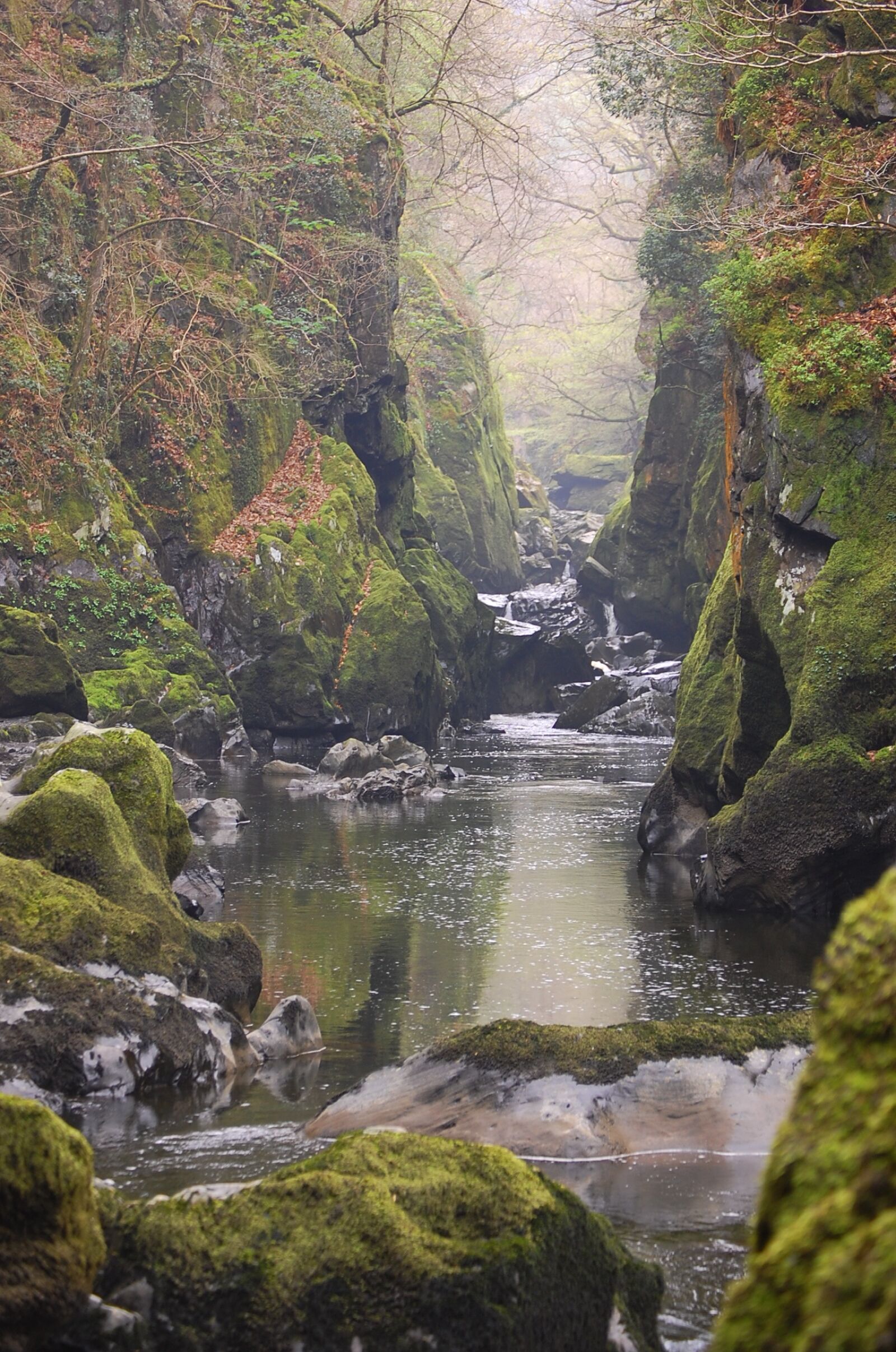 Nikon D40 sample photo. Fairyglen, waterfall, wales photography