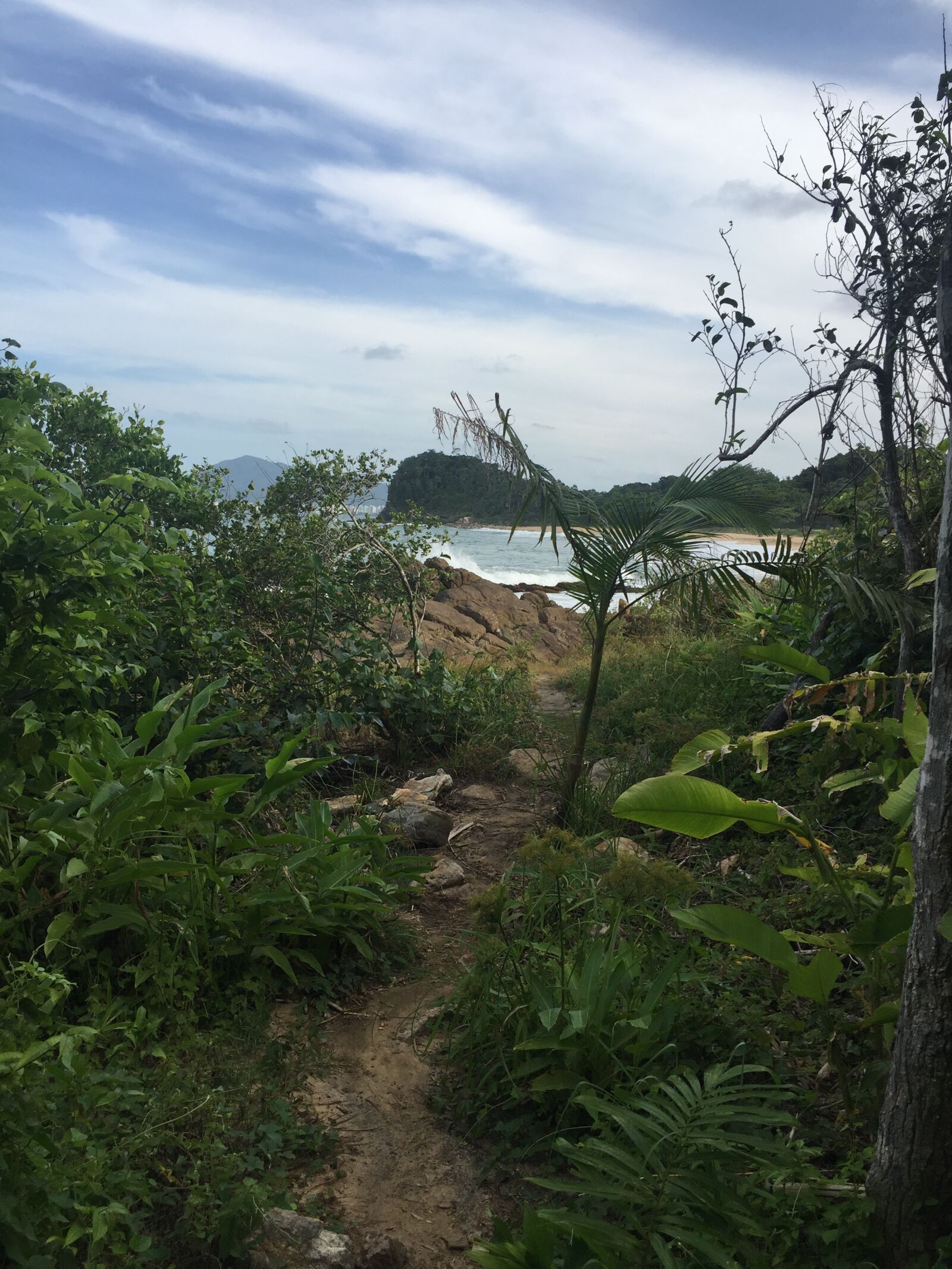 iPhone 6 back camera 4.15mm f/2.2 sample photo. View, of, the photography