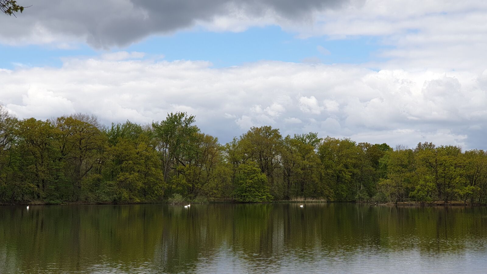 Samsung Galaxy Note9 sample photo. Lake, sky, calm photography
